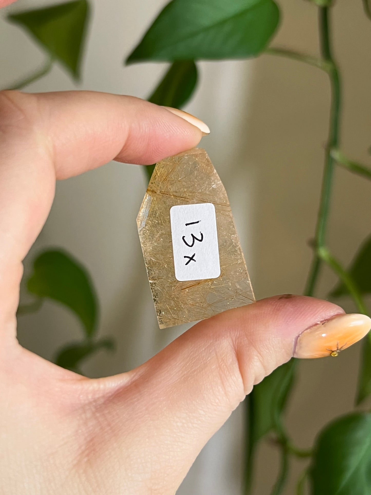 Golden Rutile Quartz Gusher - X