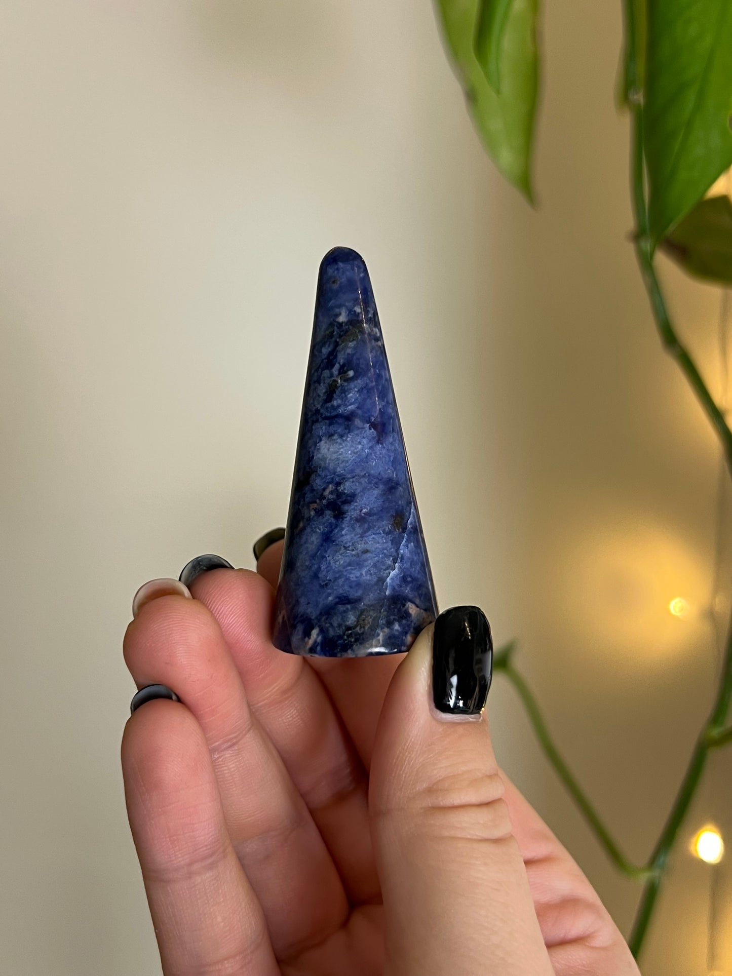 Sodalite Ring Holder