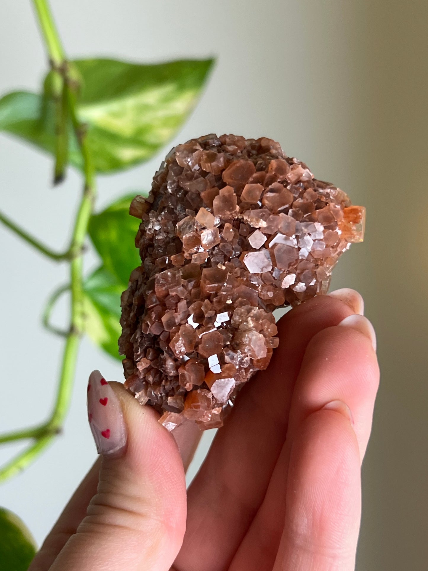 Aragonite Cluster - C