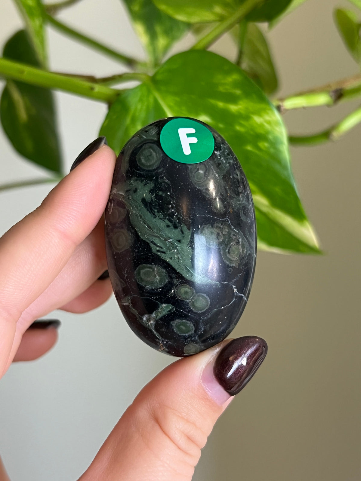 Kambaba Jasper Palm Stone - F