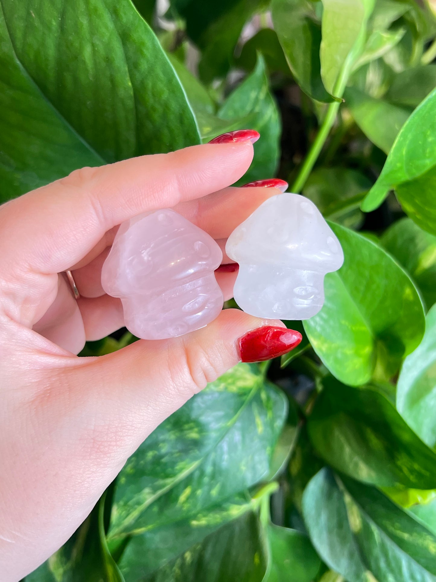Clear Quartz Mushroom Pal