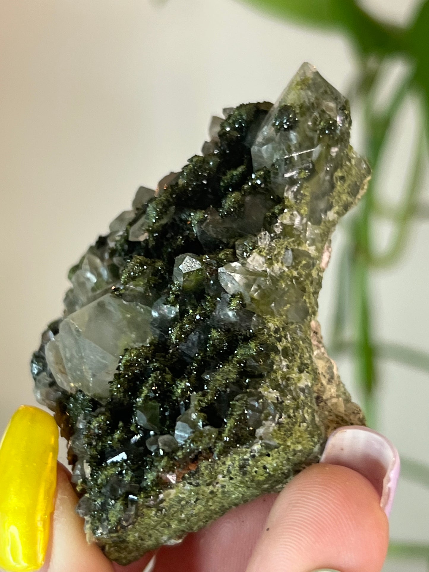 Forest Epidote Quartz Cluster - N