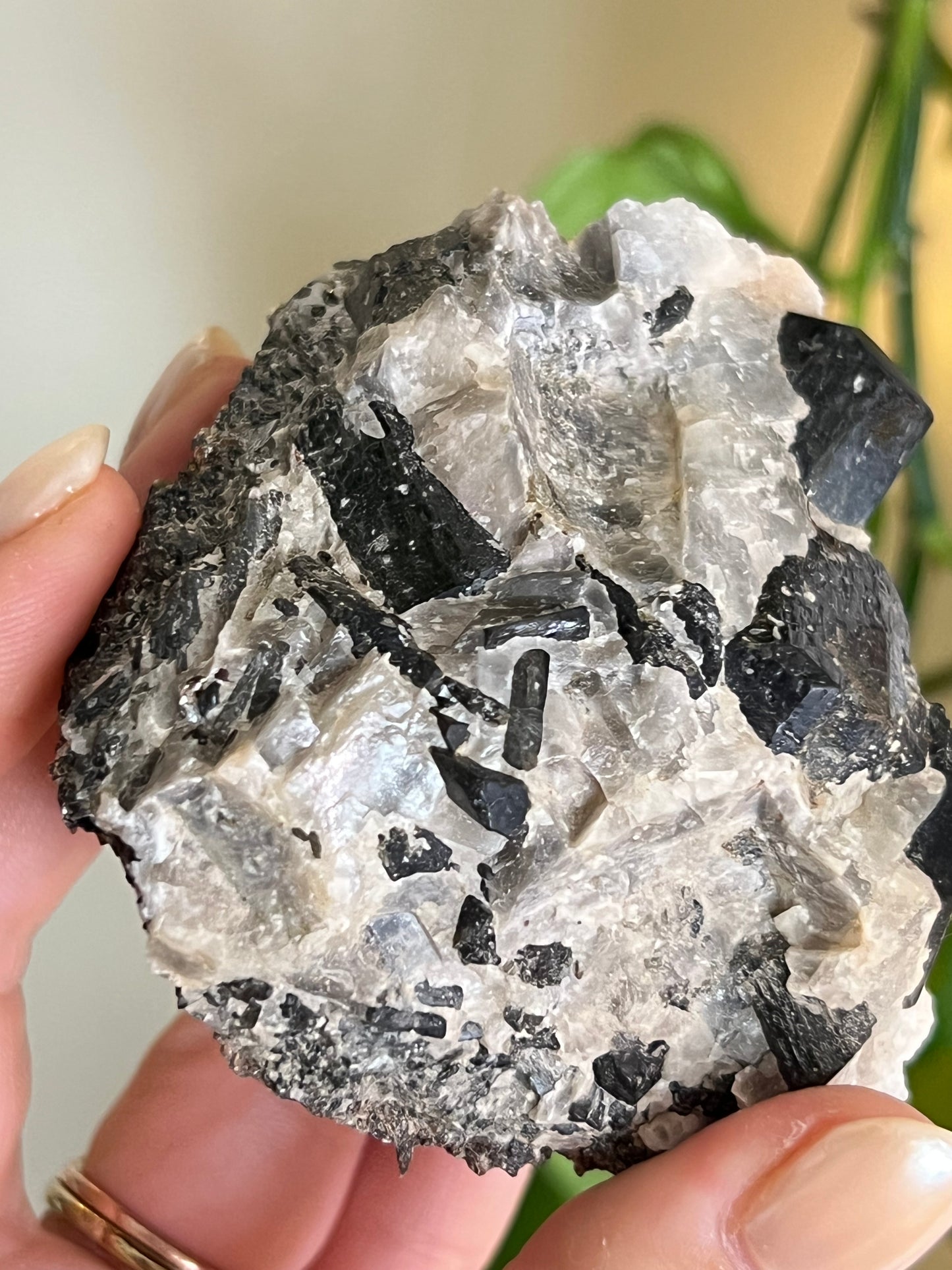Fluororichterite & Mica Specimen From Ontario T