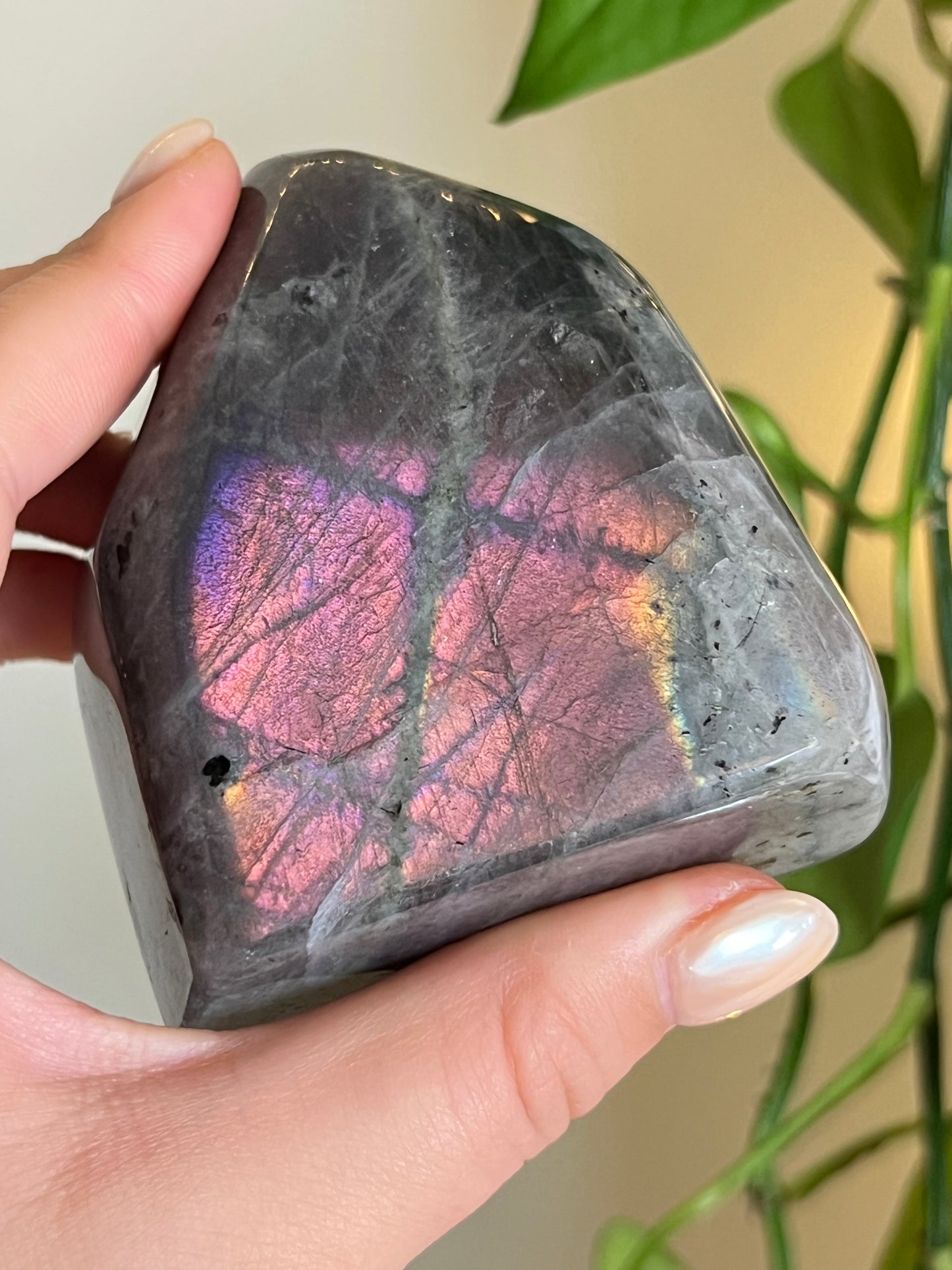Purple Labradorite Freeform A
