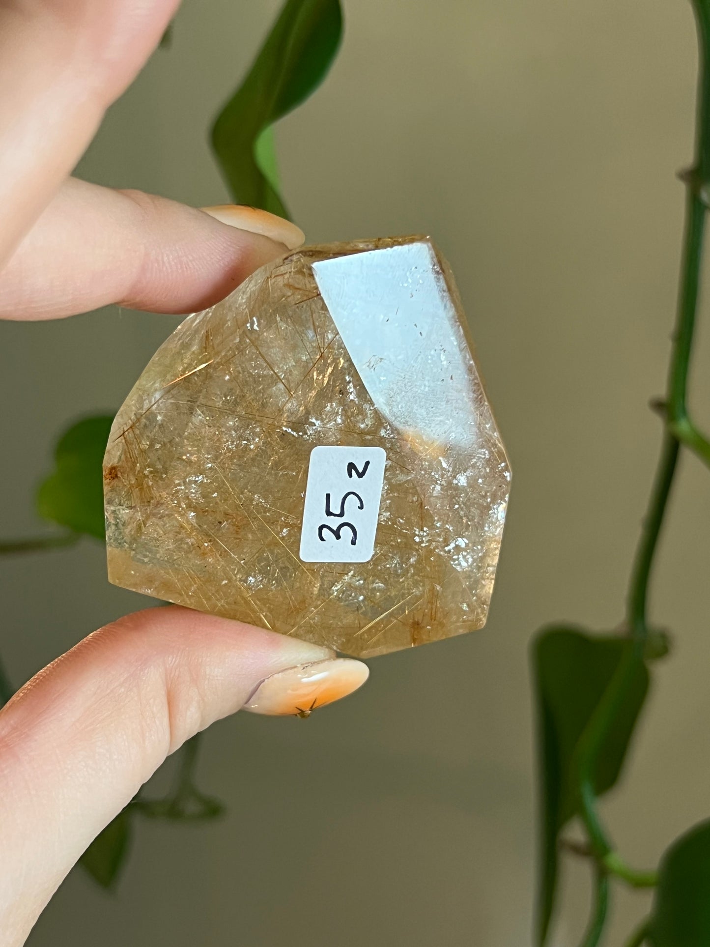 Golden Rutile Quartz Gusher - Z