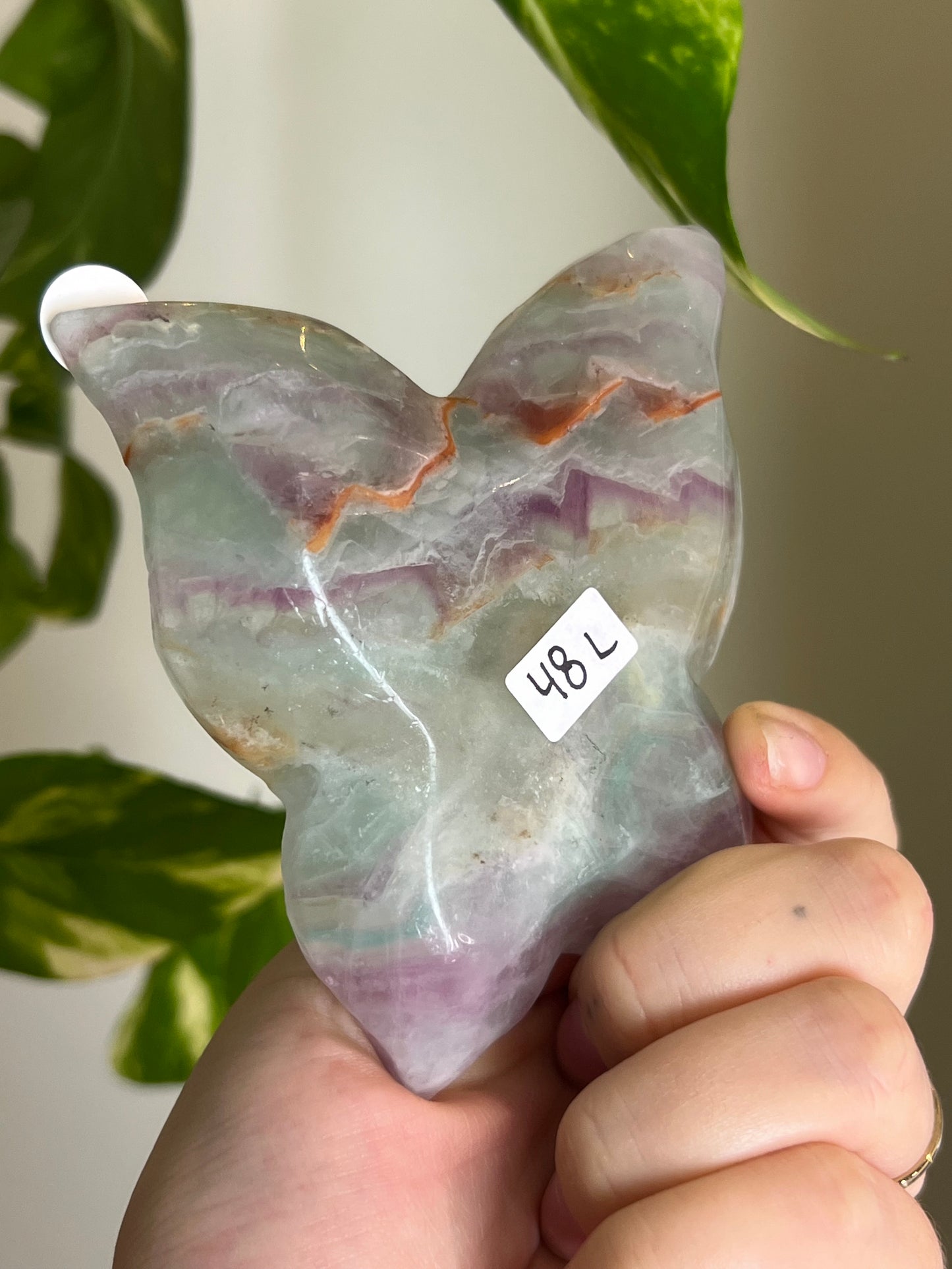 Rainbow Fluorite Butterfly Dish - L