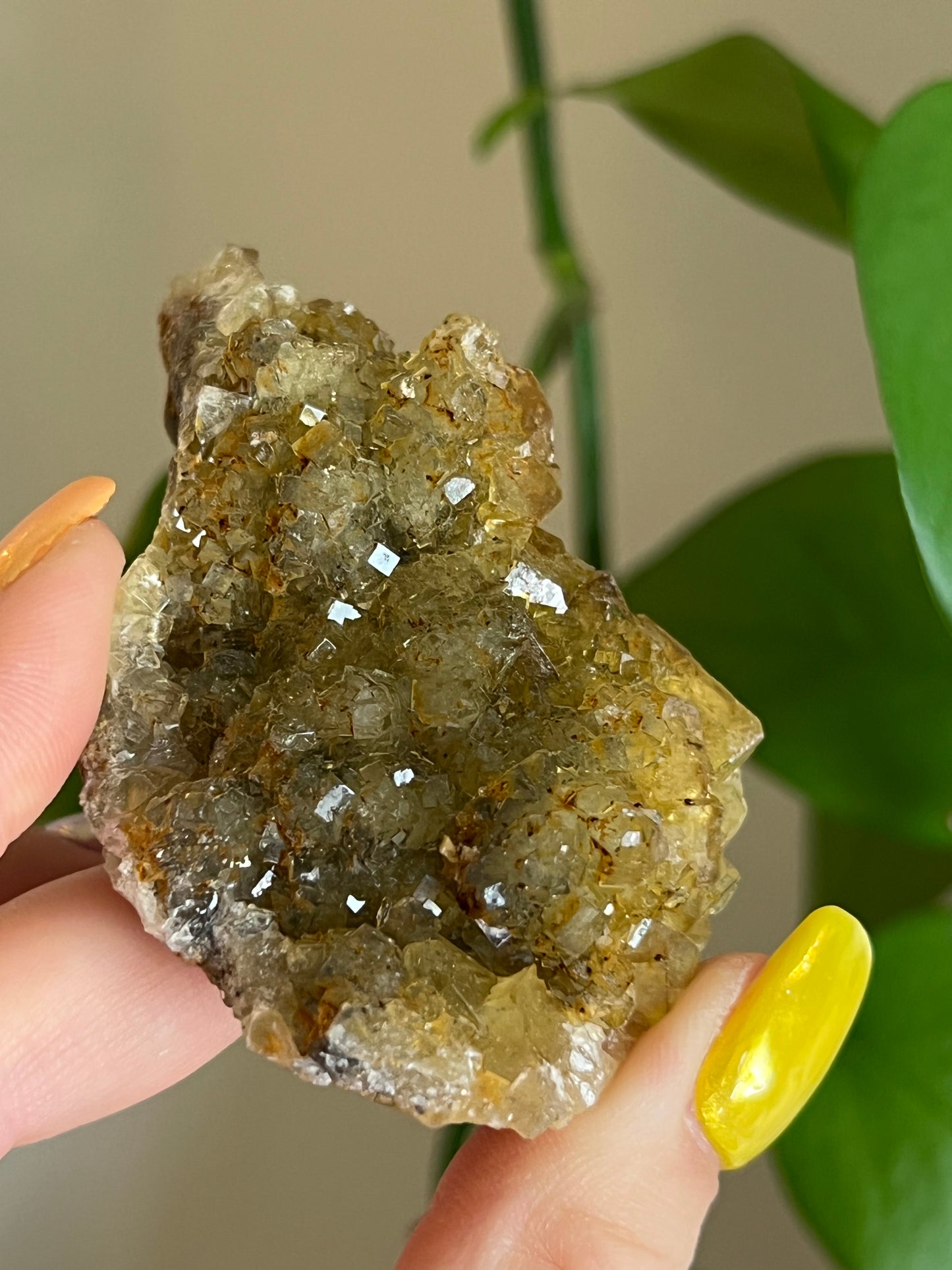 Yellow Fluorite Cluster E