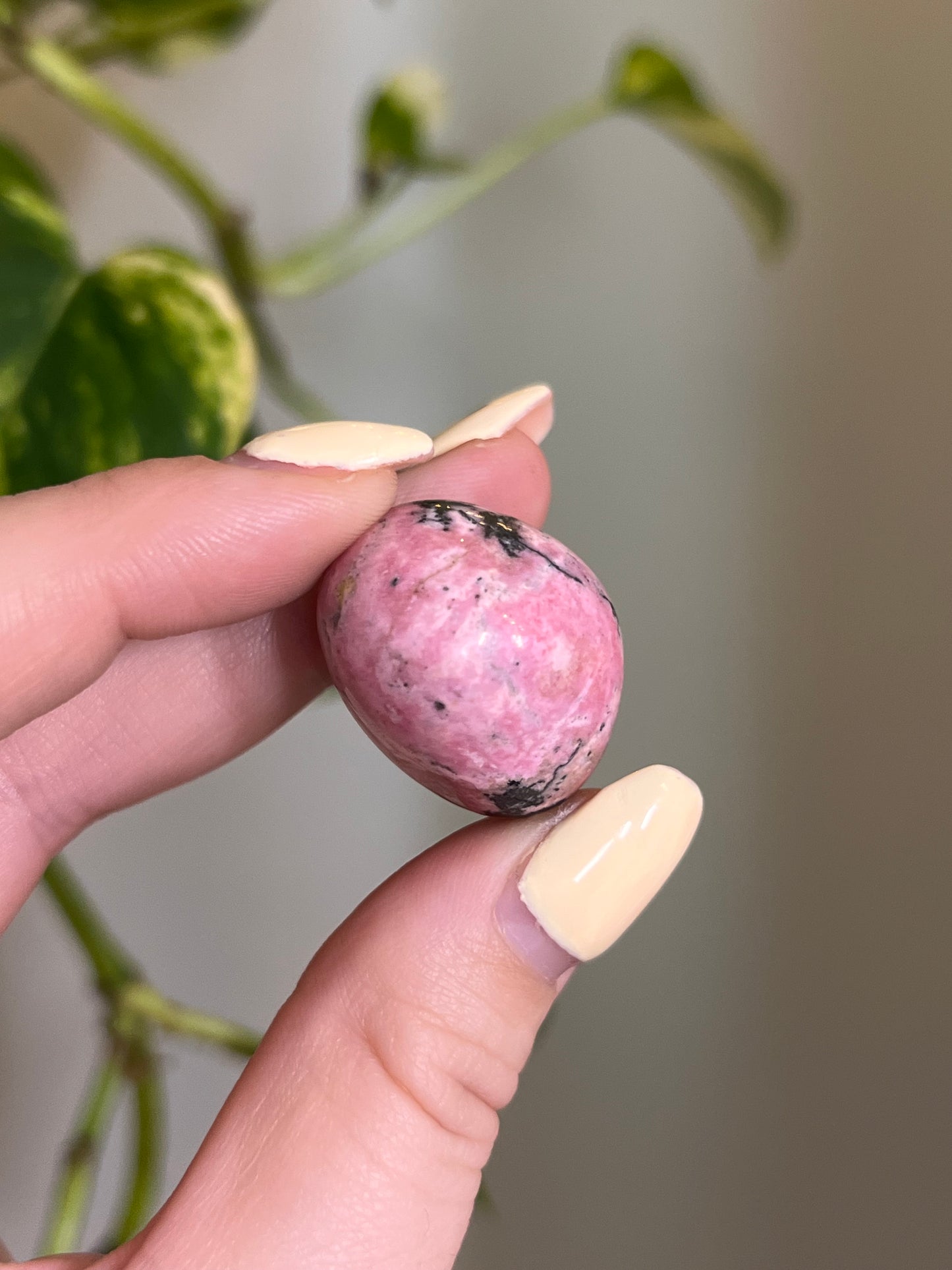 Bubblegum Rhodonite Tumbled