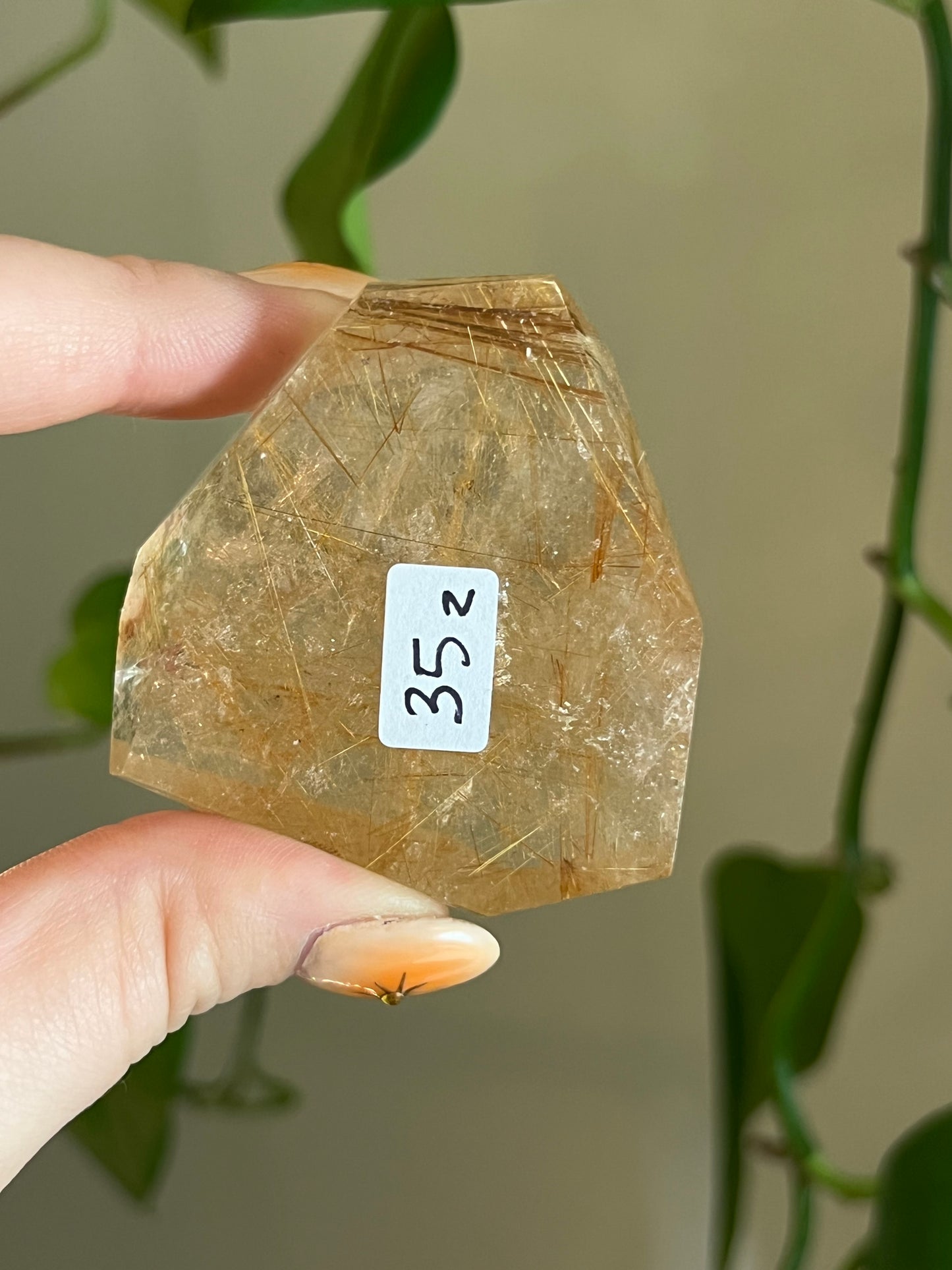 Golden Rutile Quartz Gusher - Z