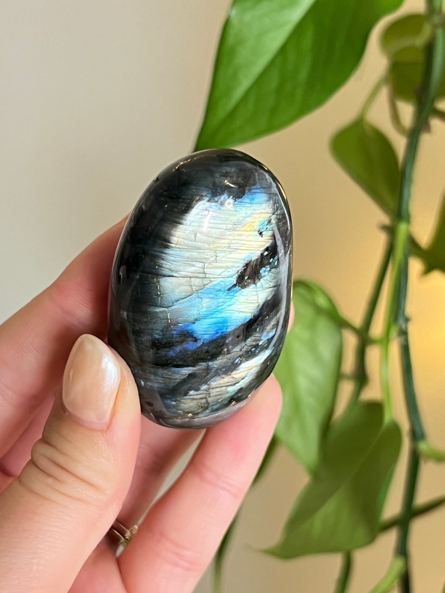 Flashy Labradorite Palm Stone - Intuitively Chosen