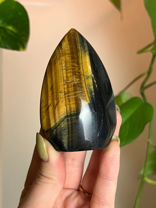 Blue + Golden Tigers Eye Freeform M