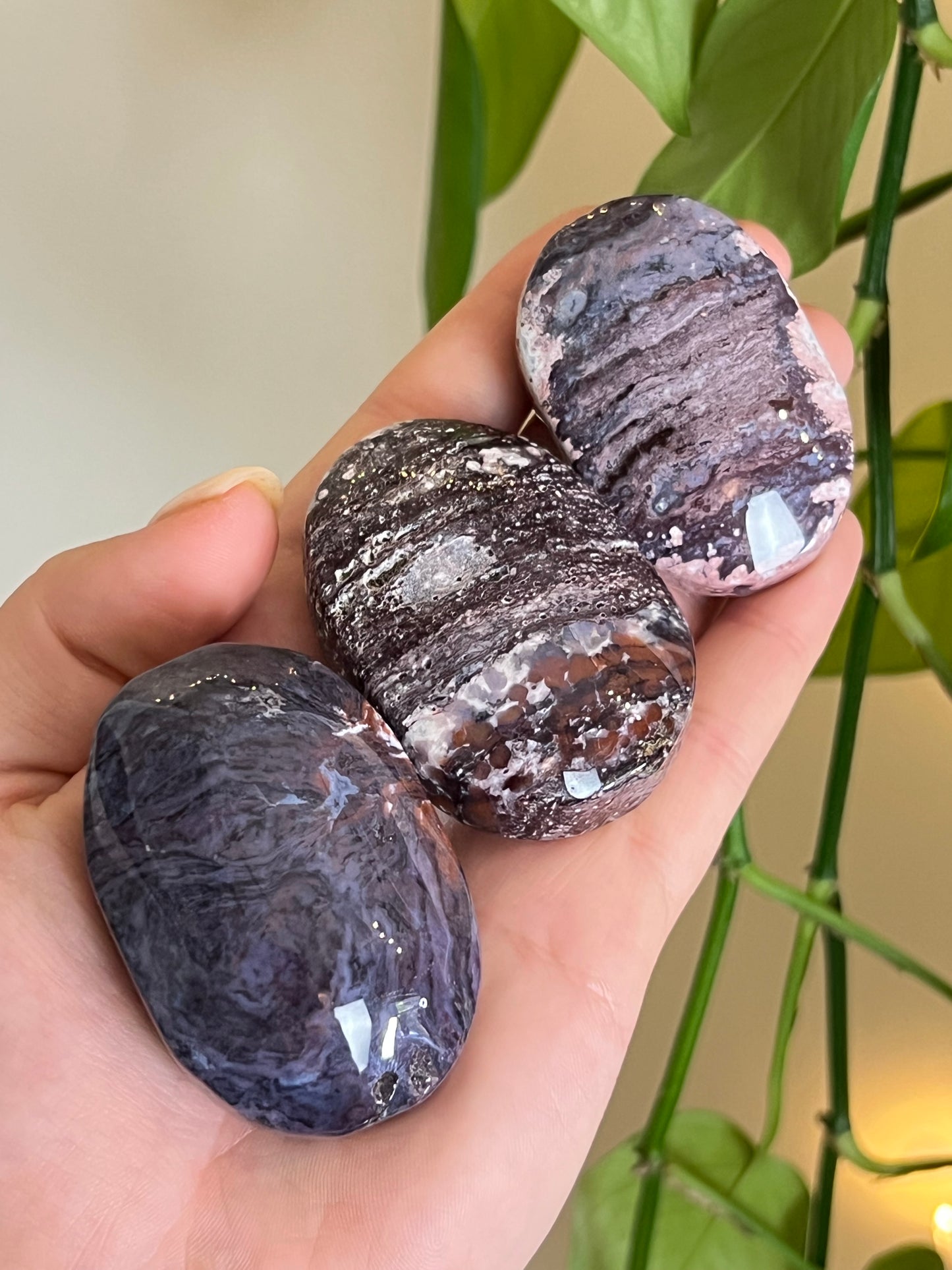 Unique Ocean Jasper Palm Stone
