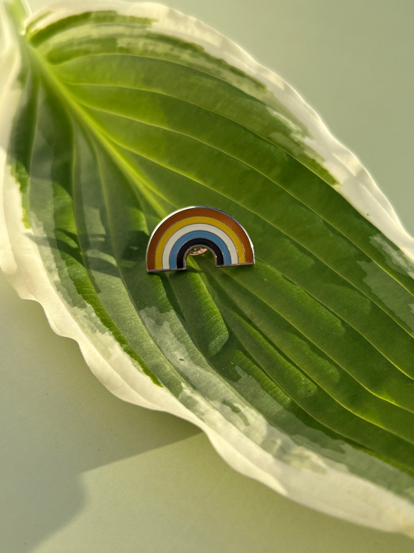 Aroace Rainbow Pin