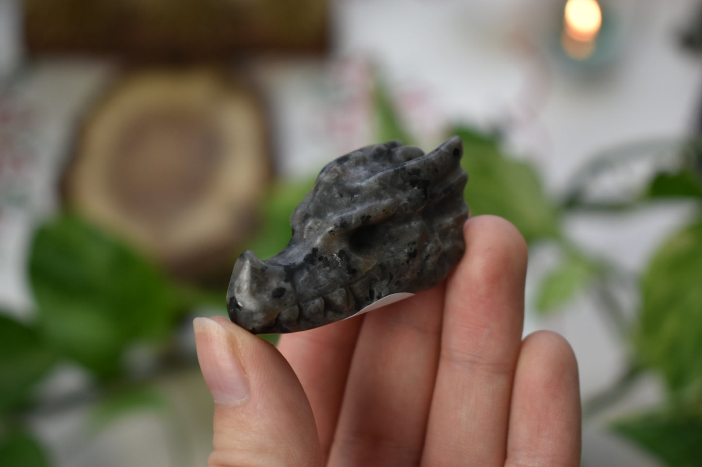Dragon Head