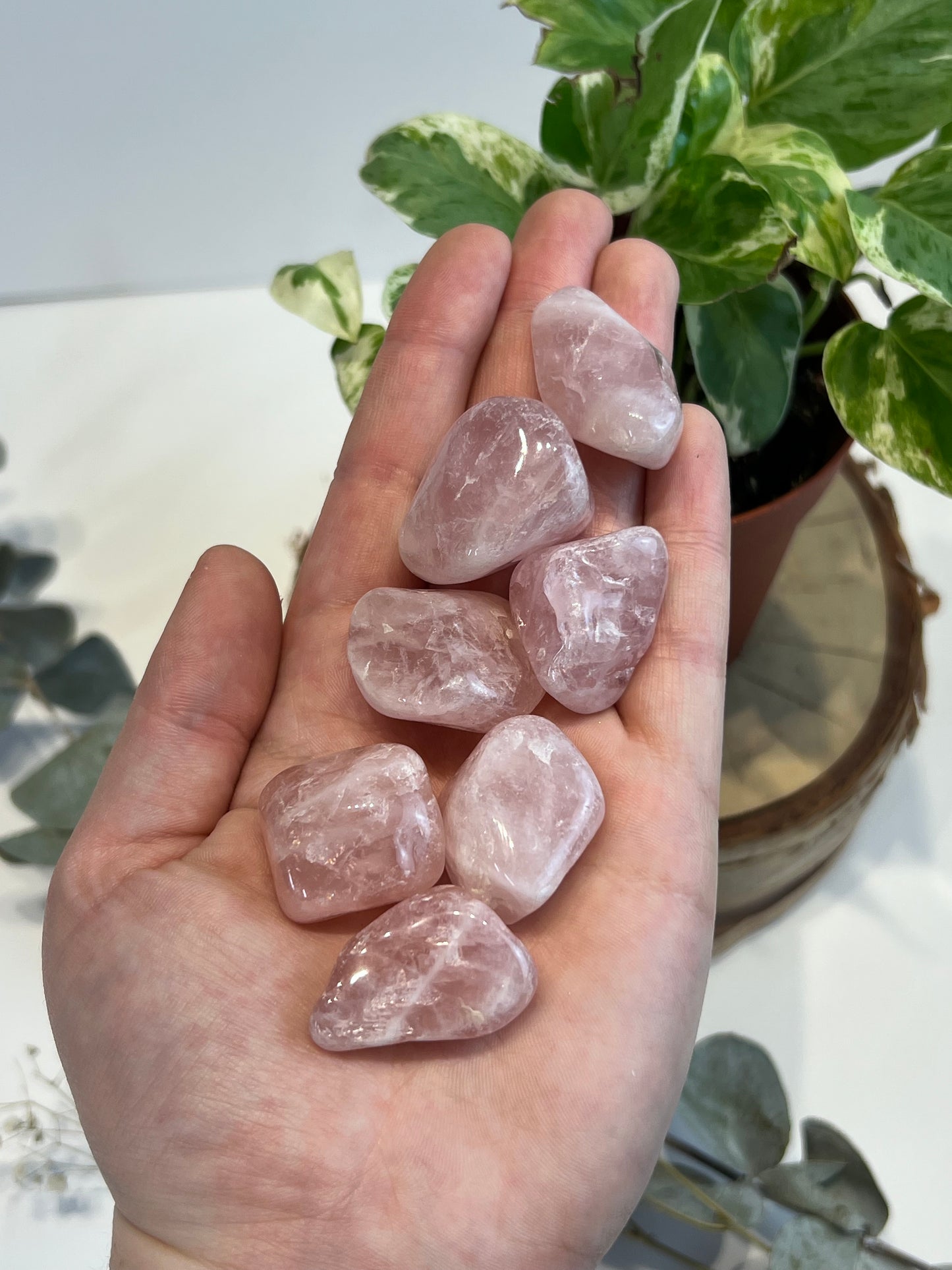 Rose Quartz Tumbled