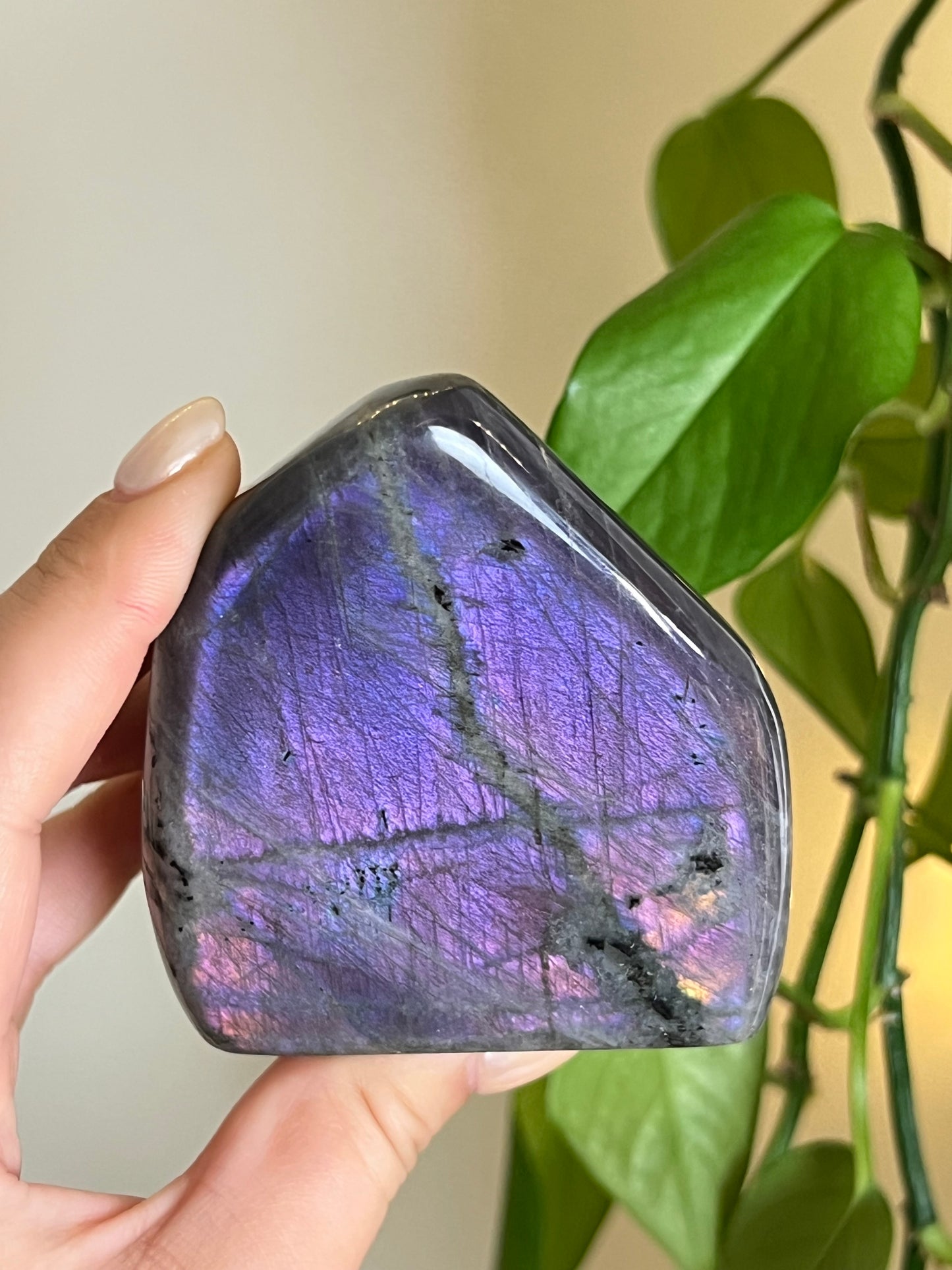 Purple Labradorite Freeform A