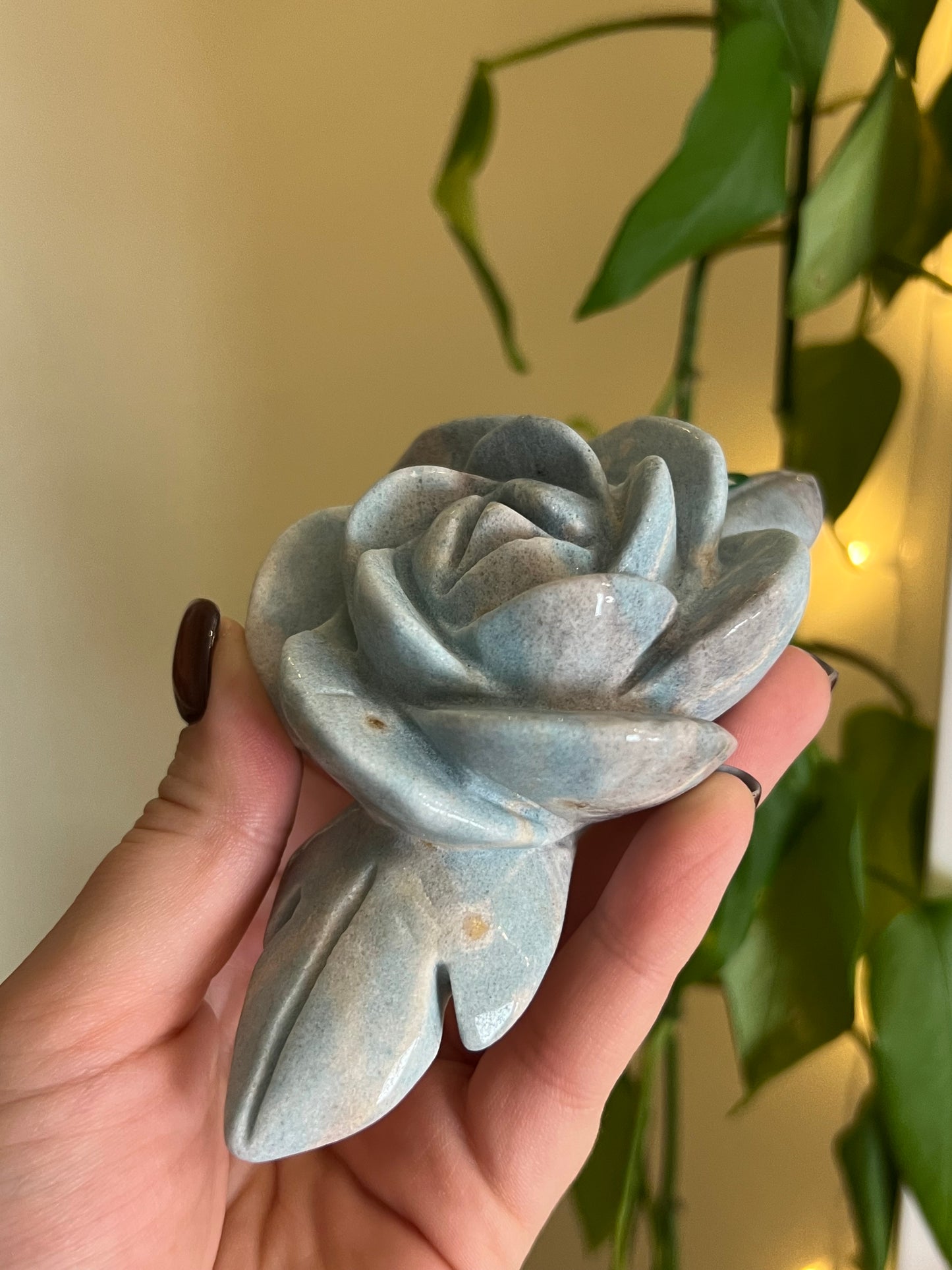 Trolleite Large Flower - H