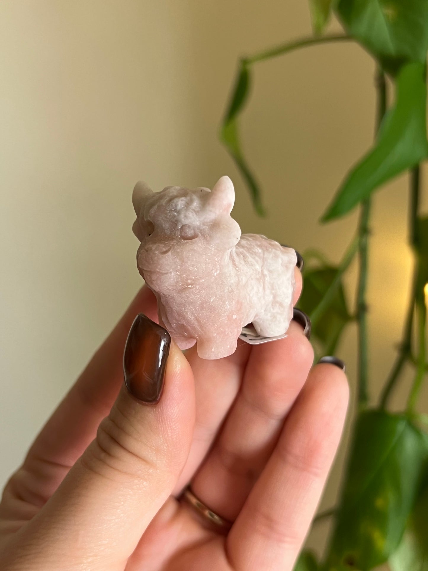 Highland Cow Crystals - 7 Materials đ
