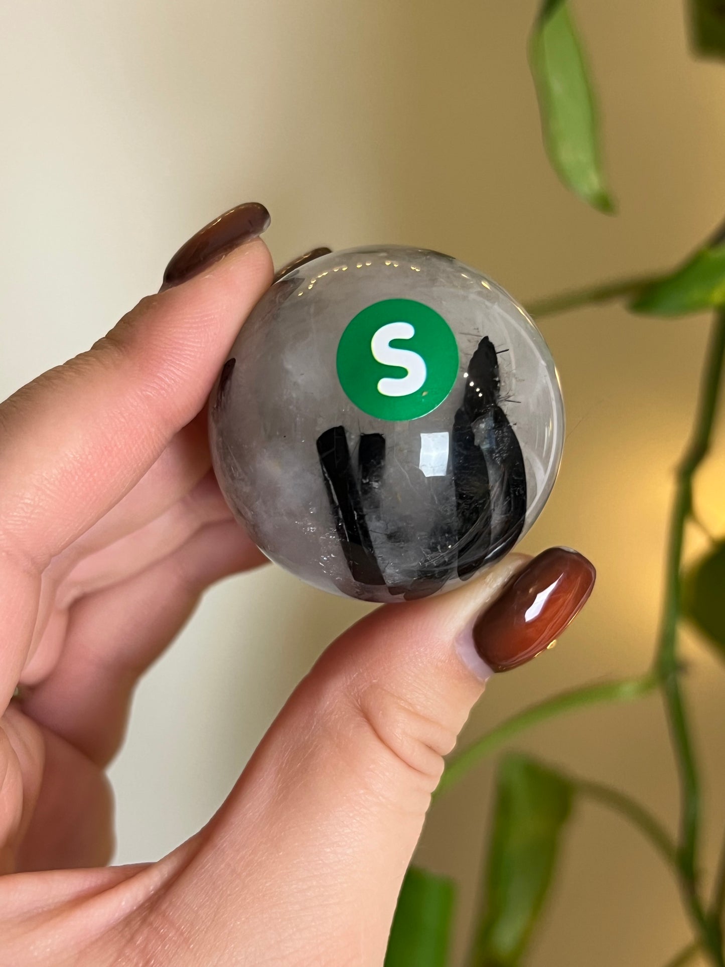 Black Tourmaline in Quartz Sphere - S