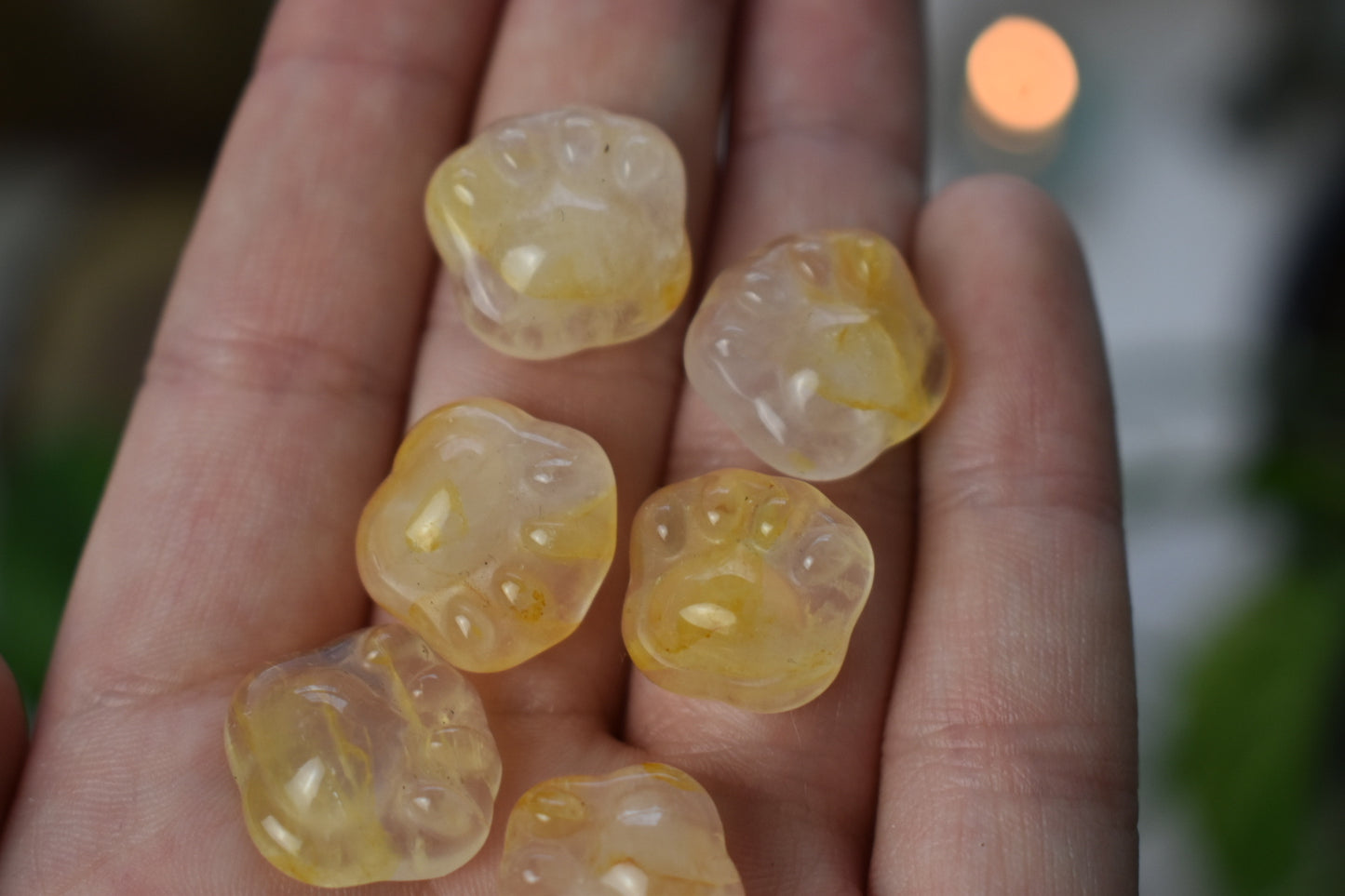 Golden Healer Mini Toe Bean