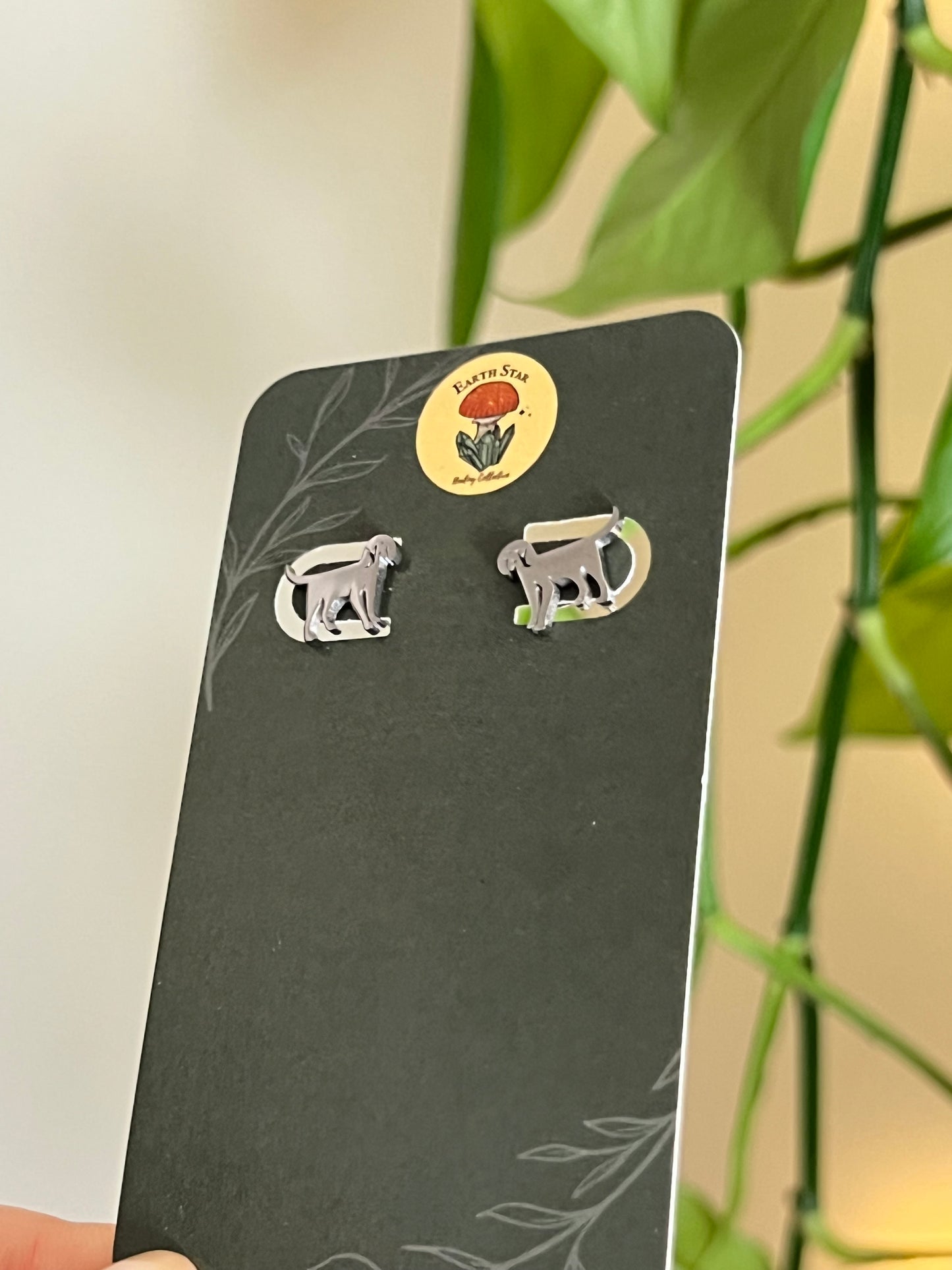 Dog Stainless Steel Studs