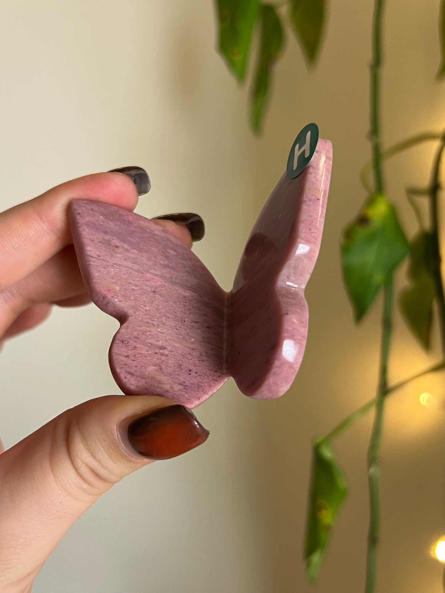 Pink Petrified Wood 3D Butterfly - H