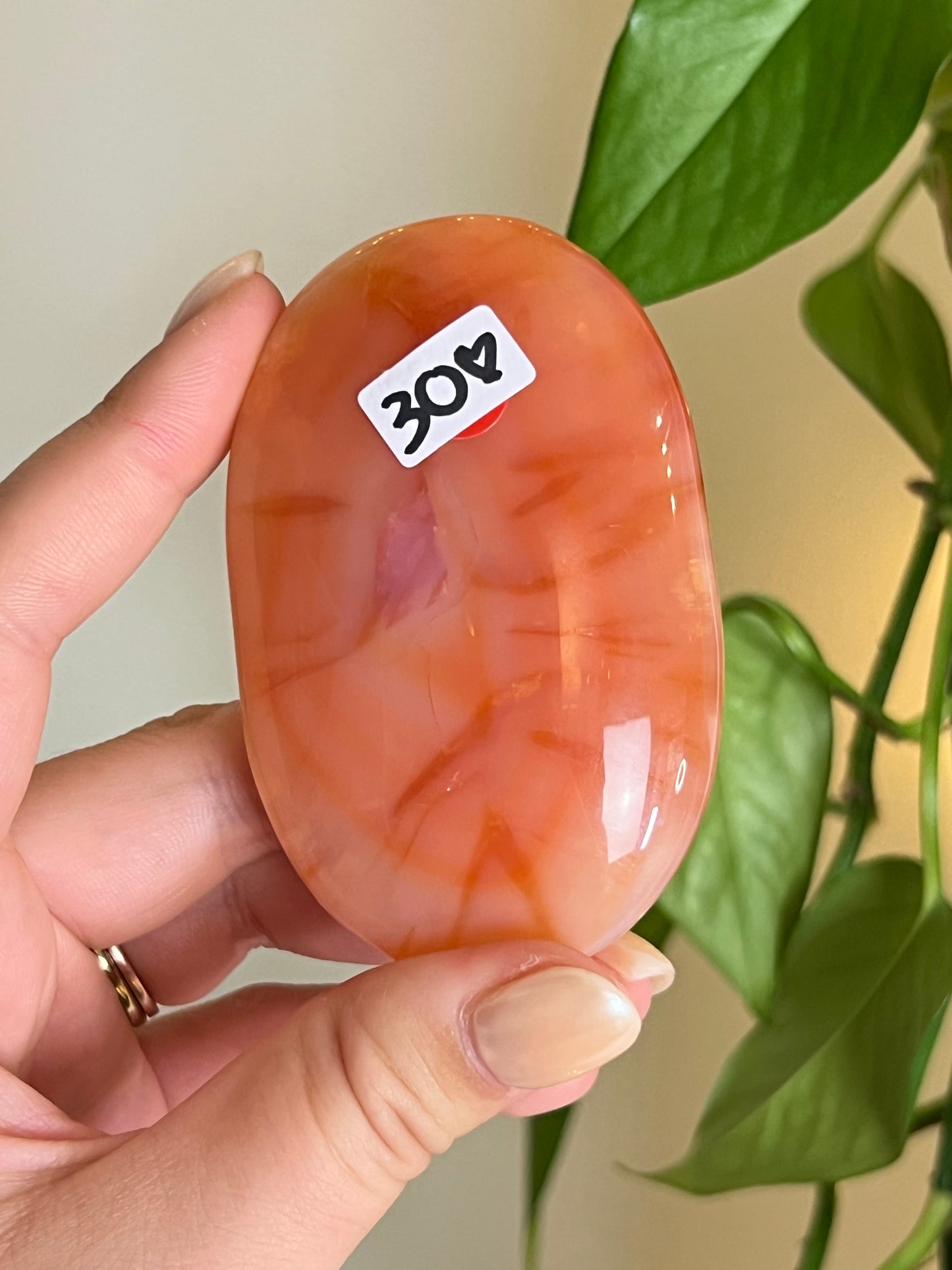 High Quality Carnelian Palm Stone C