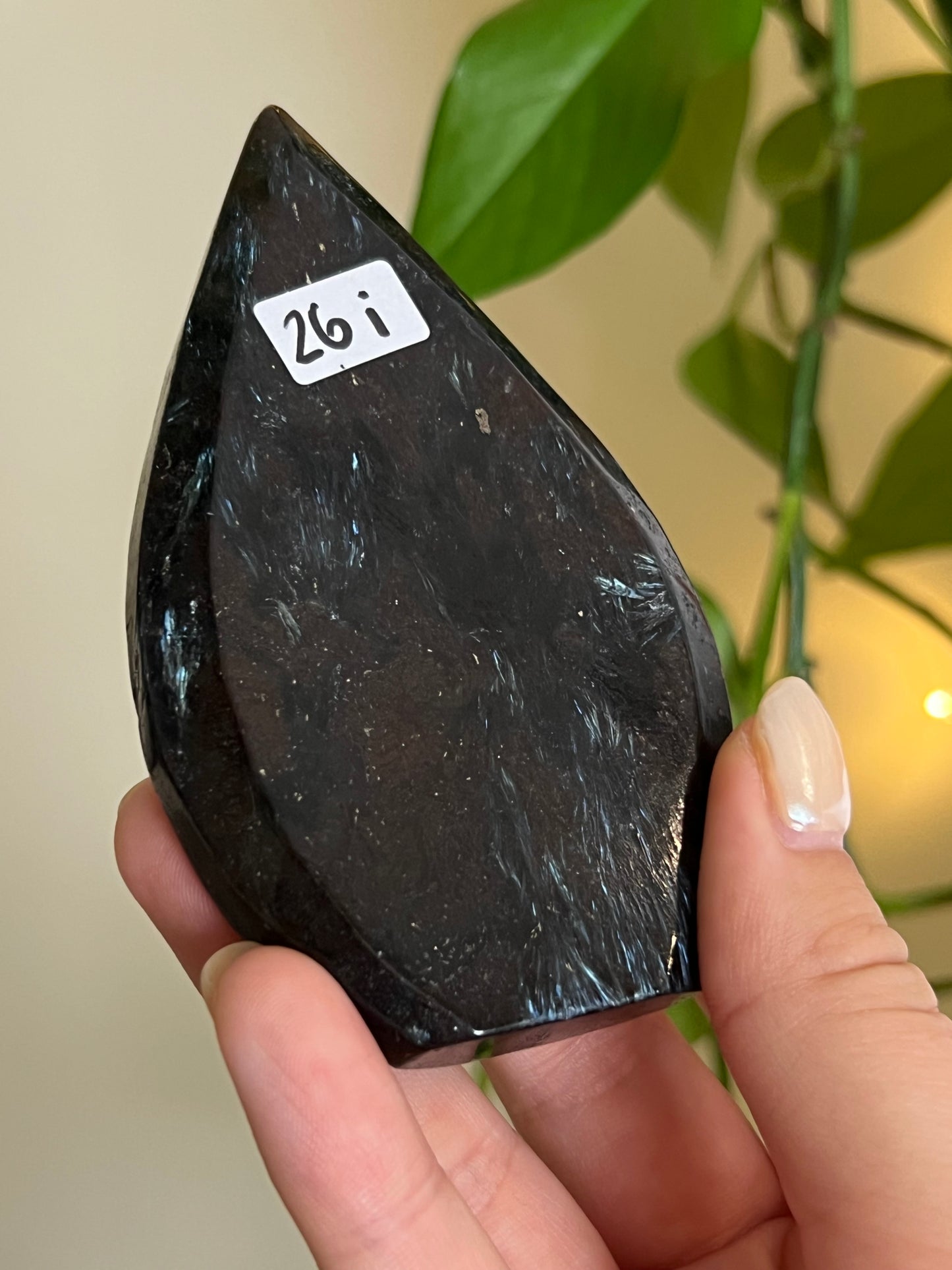 Astrophyllite on Matrix Freeform - i