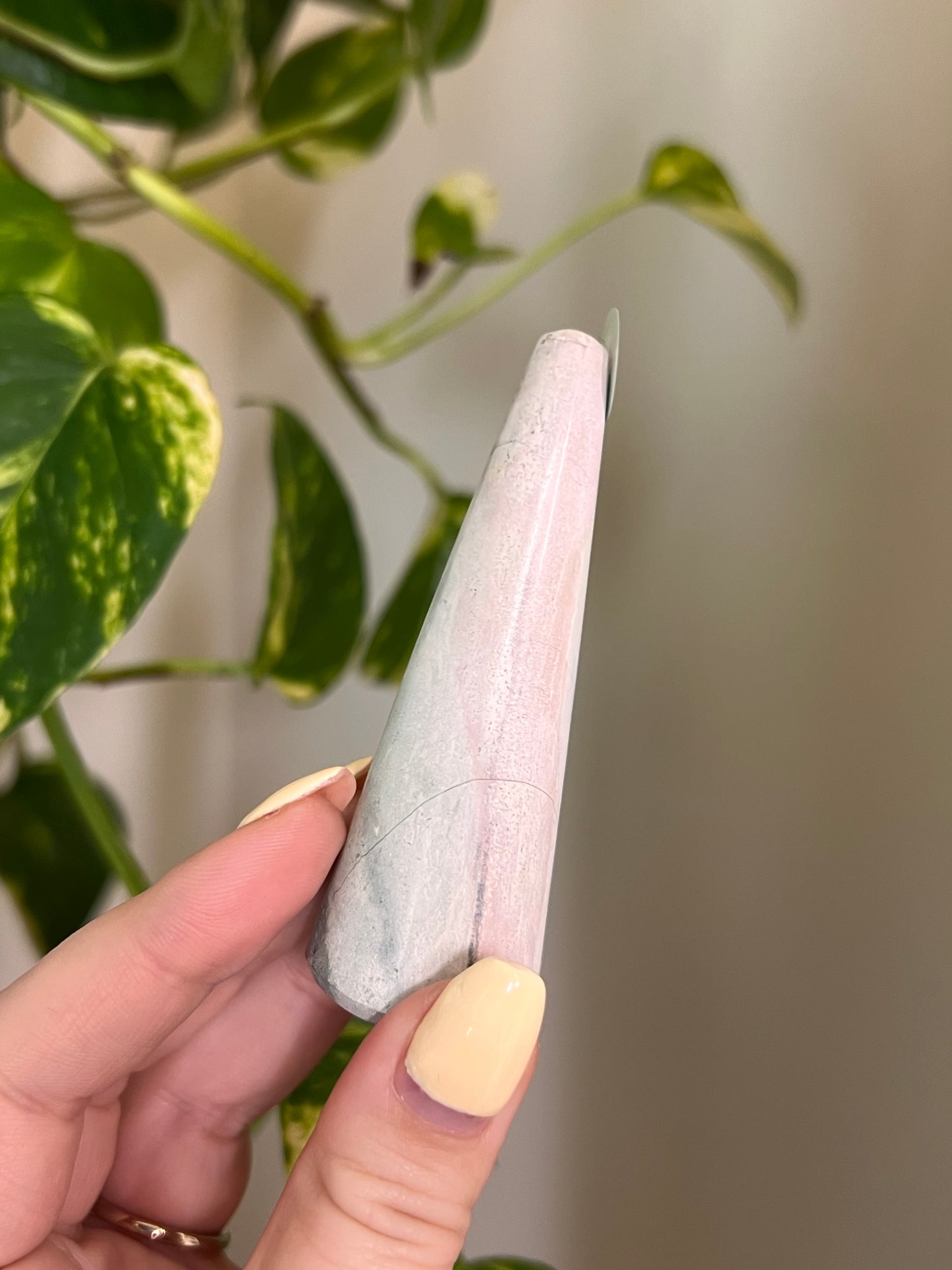 Unicorn Jasper Ring Holder - 9