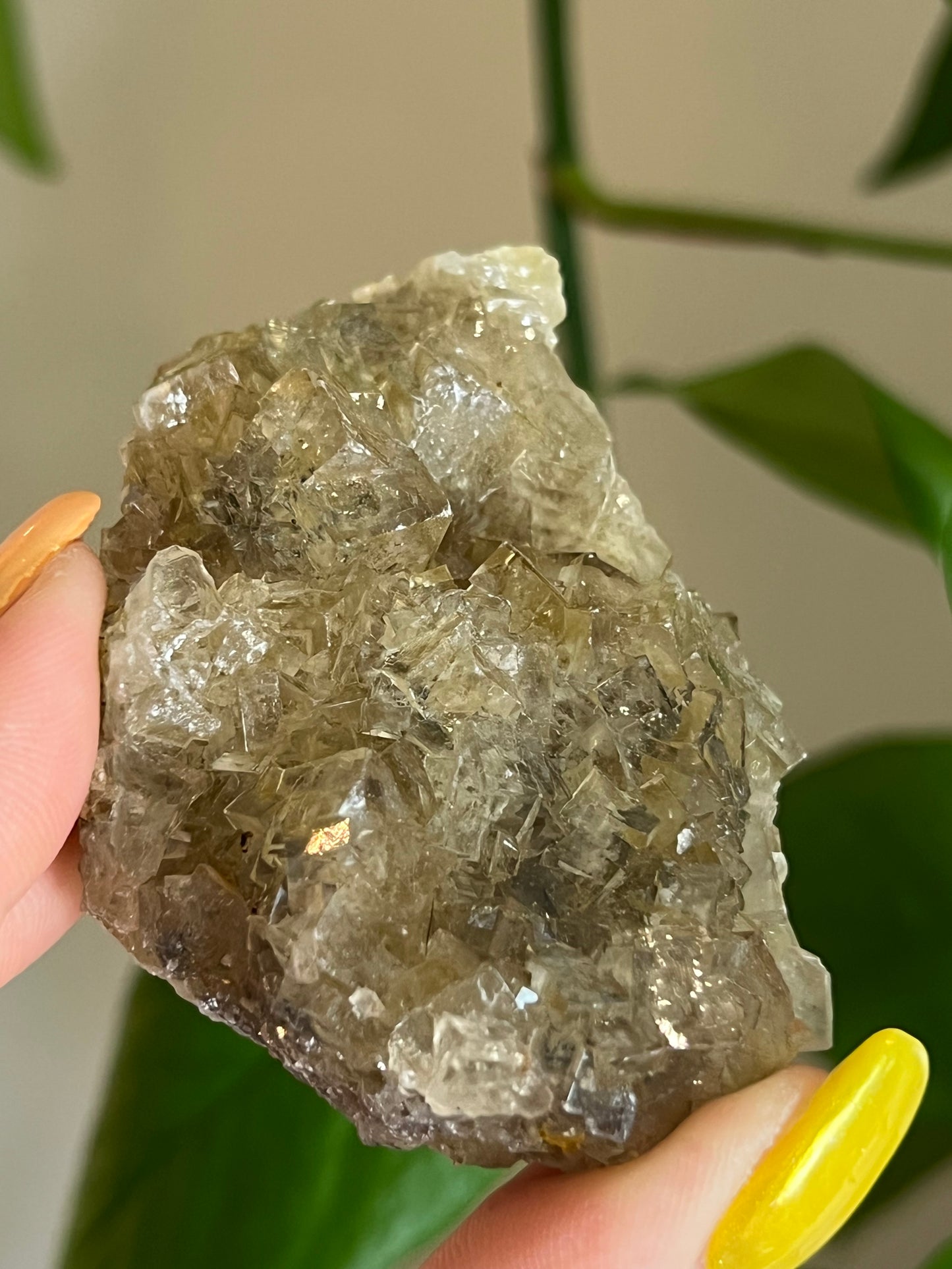 Yellow Fluorite Cluster Q