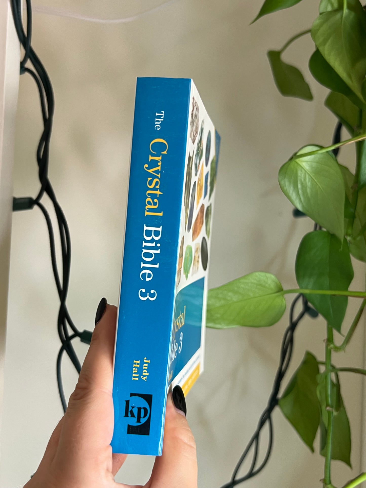 The Crystal Bible Book 3