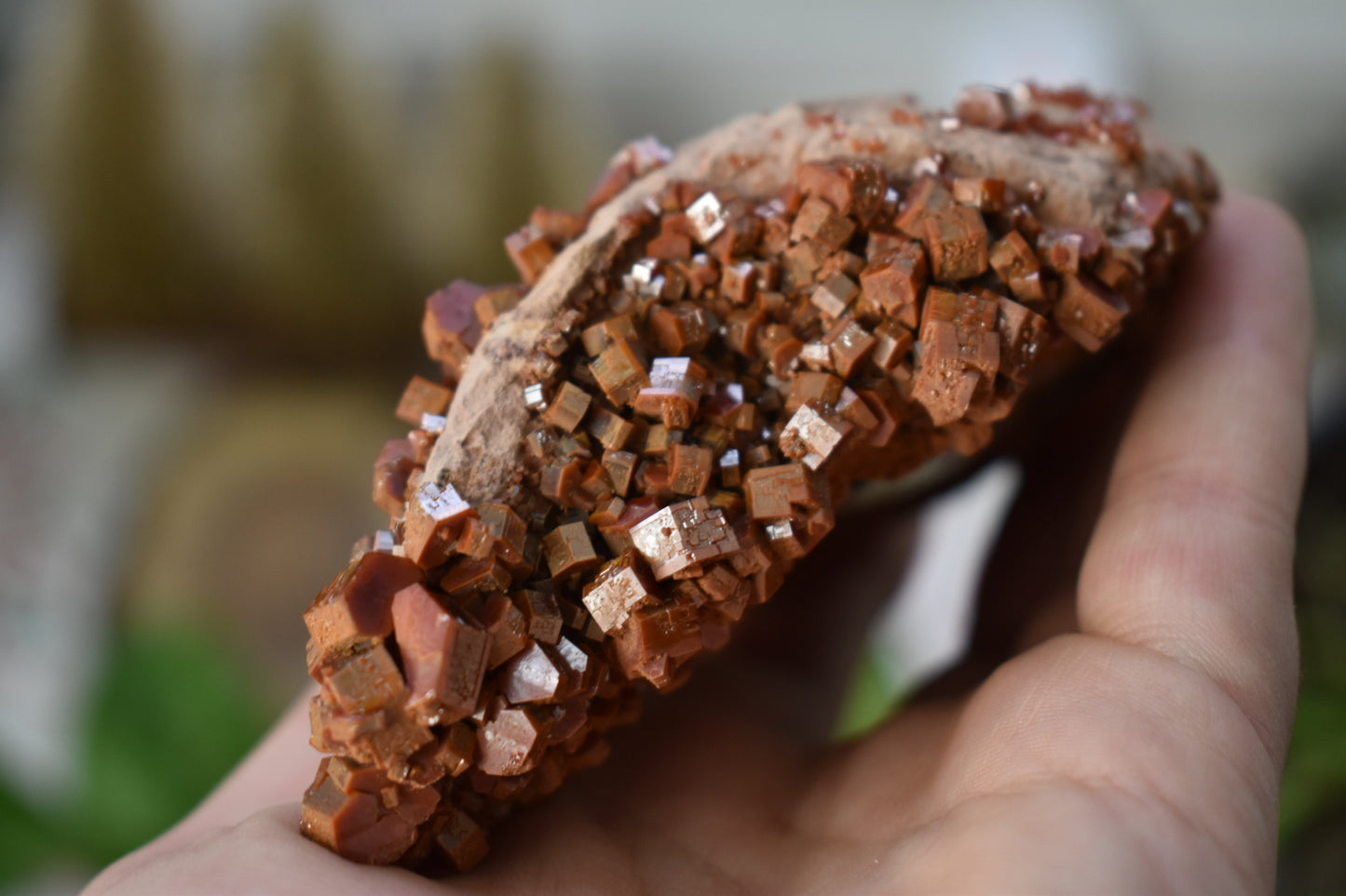 Vandanite Cluster
