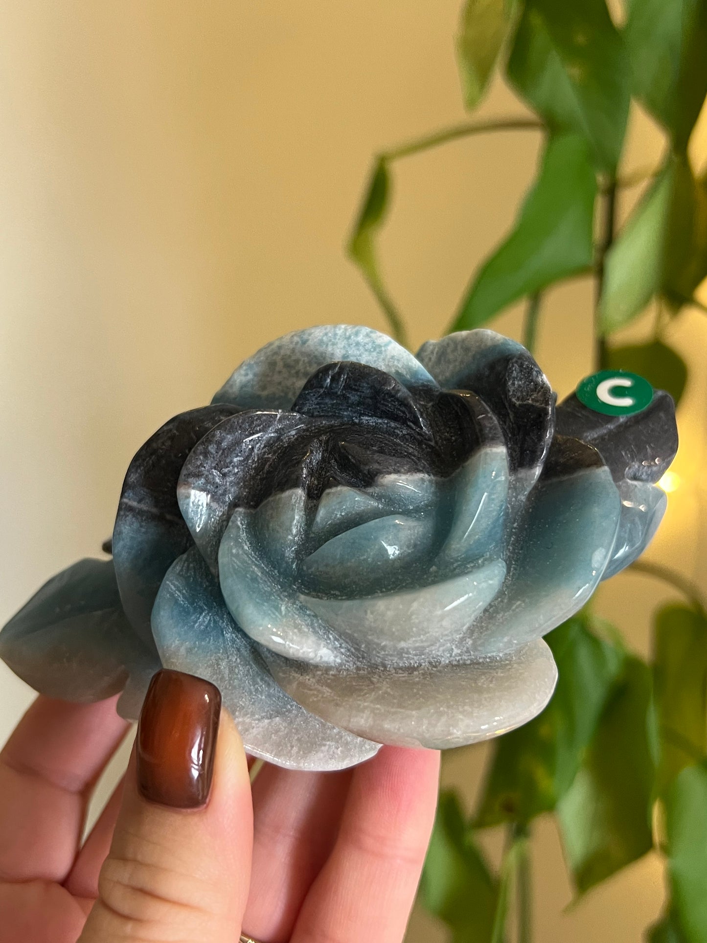 * Imperfect *Trolleite Large Flower - C