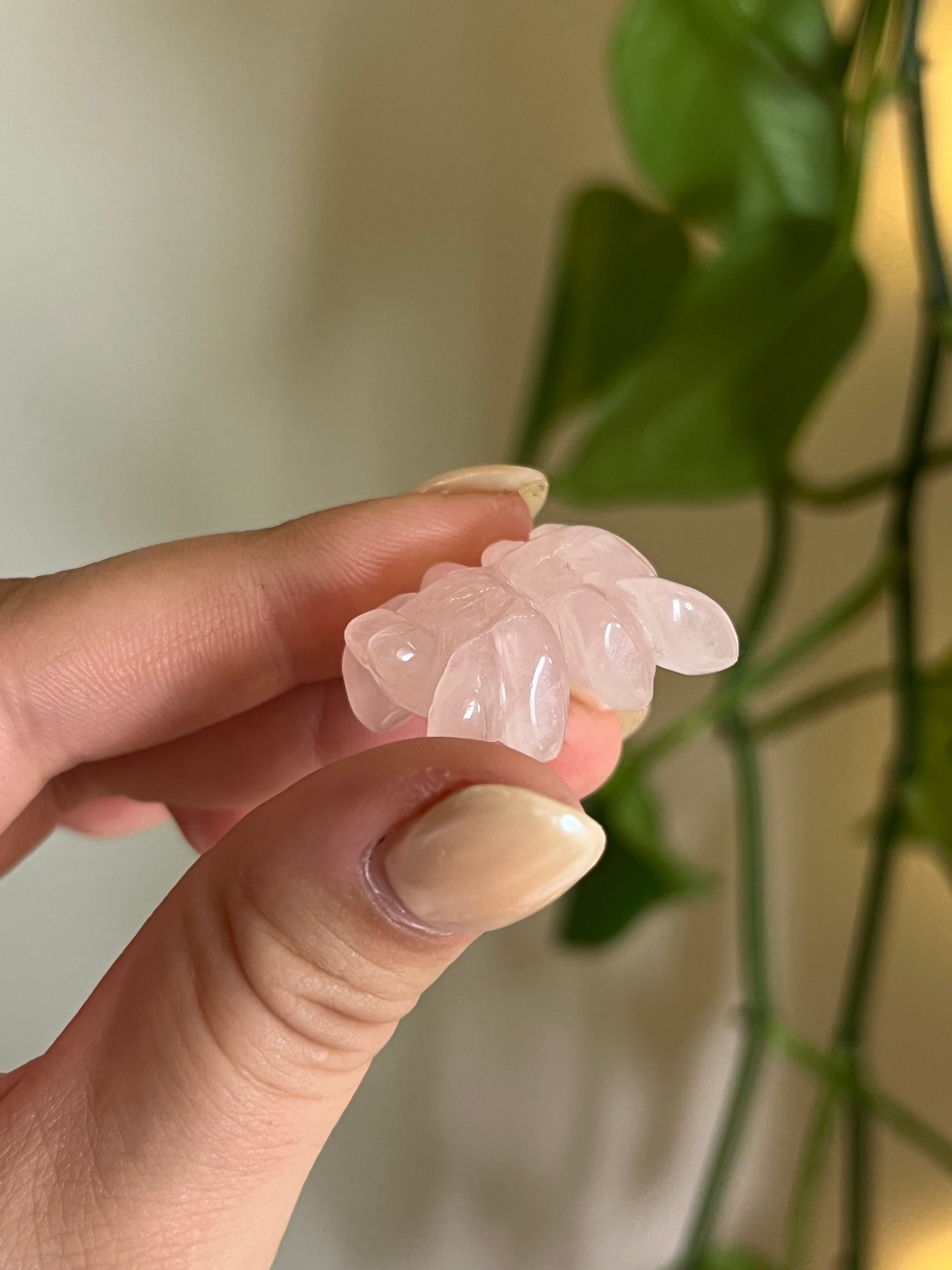 Rose Quartz Small Spider