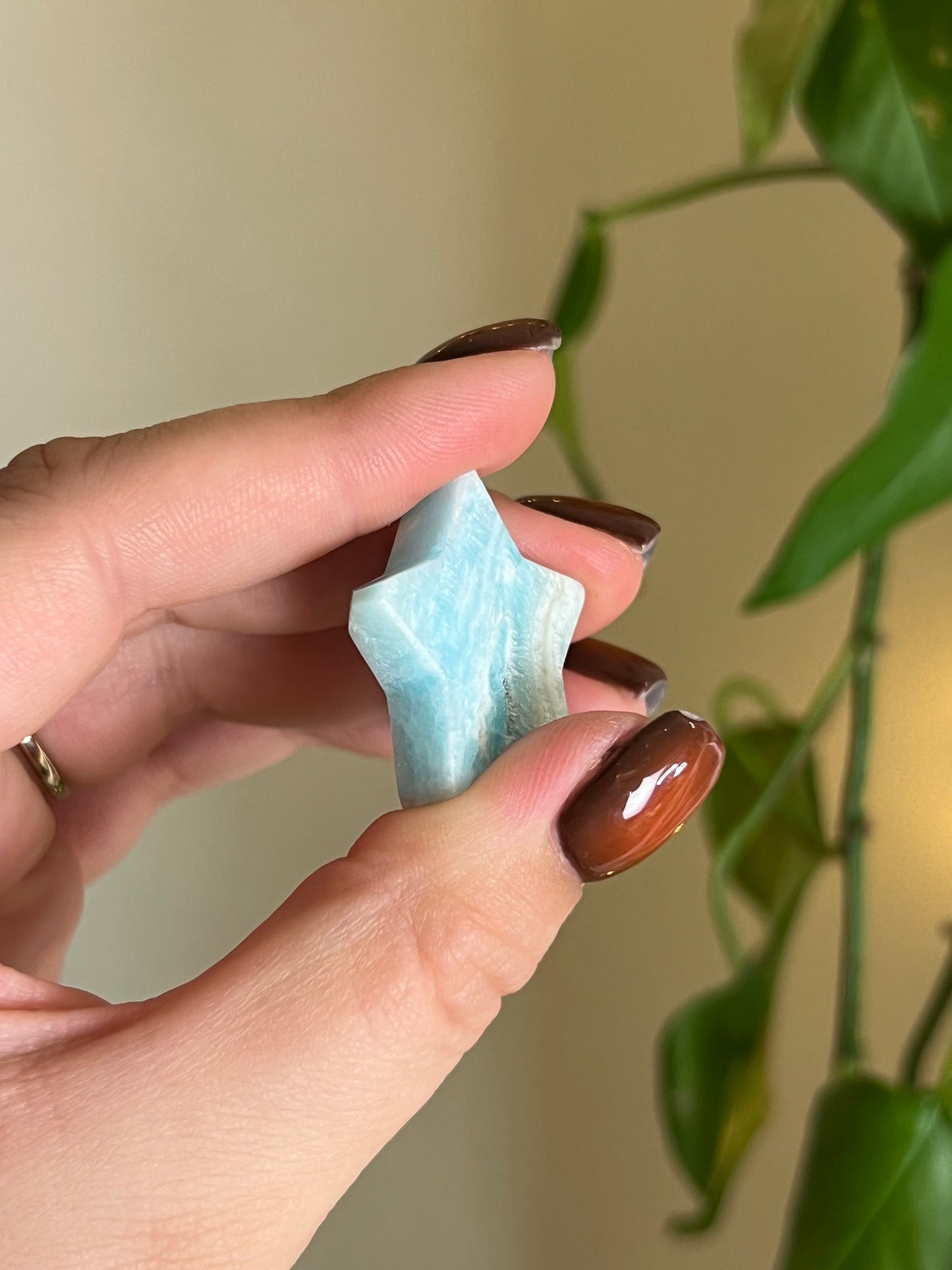 Caribbean Calcite Small Star