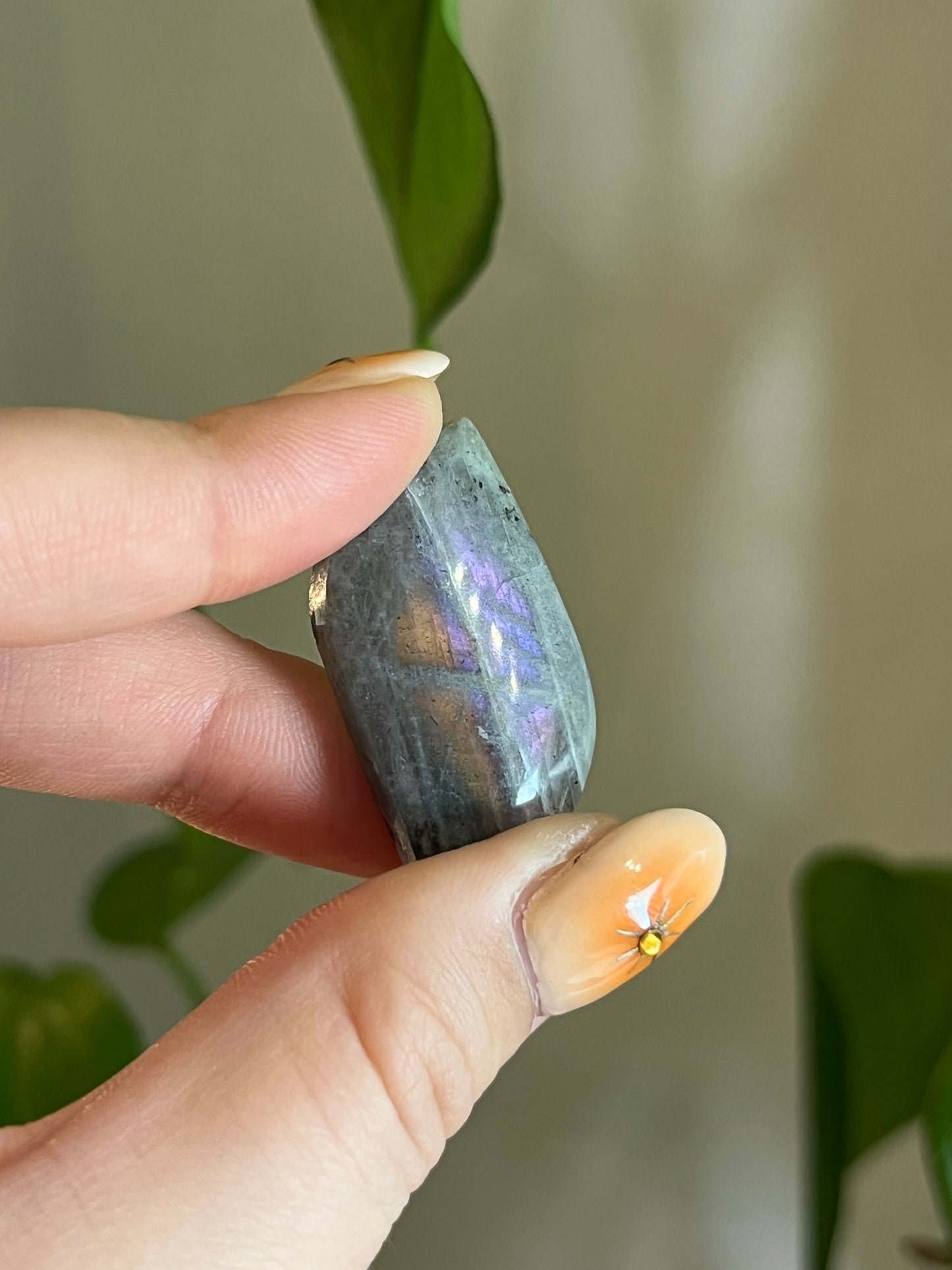Labradorite Cabachon