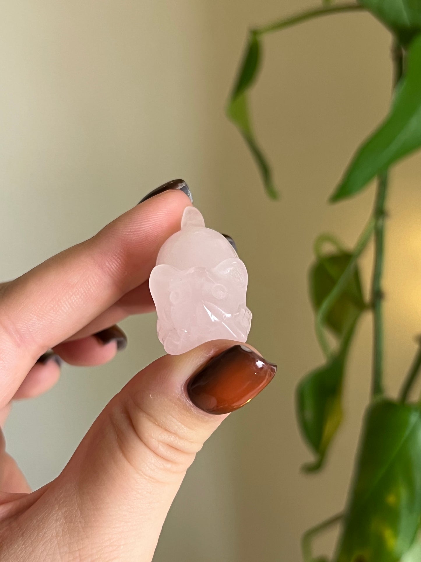 Rose Quartz Playful Cat