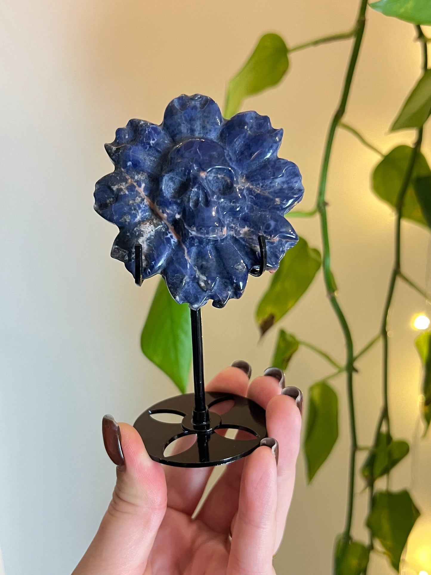 Sodalite Skull Flower on Stand