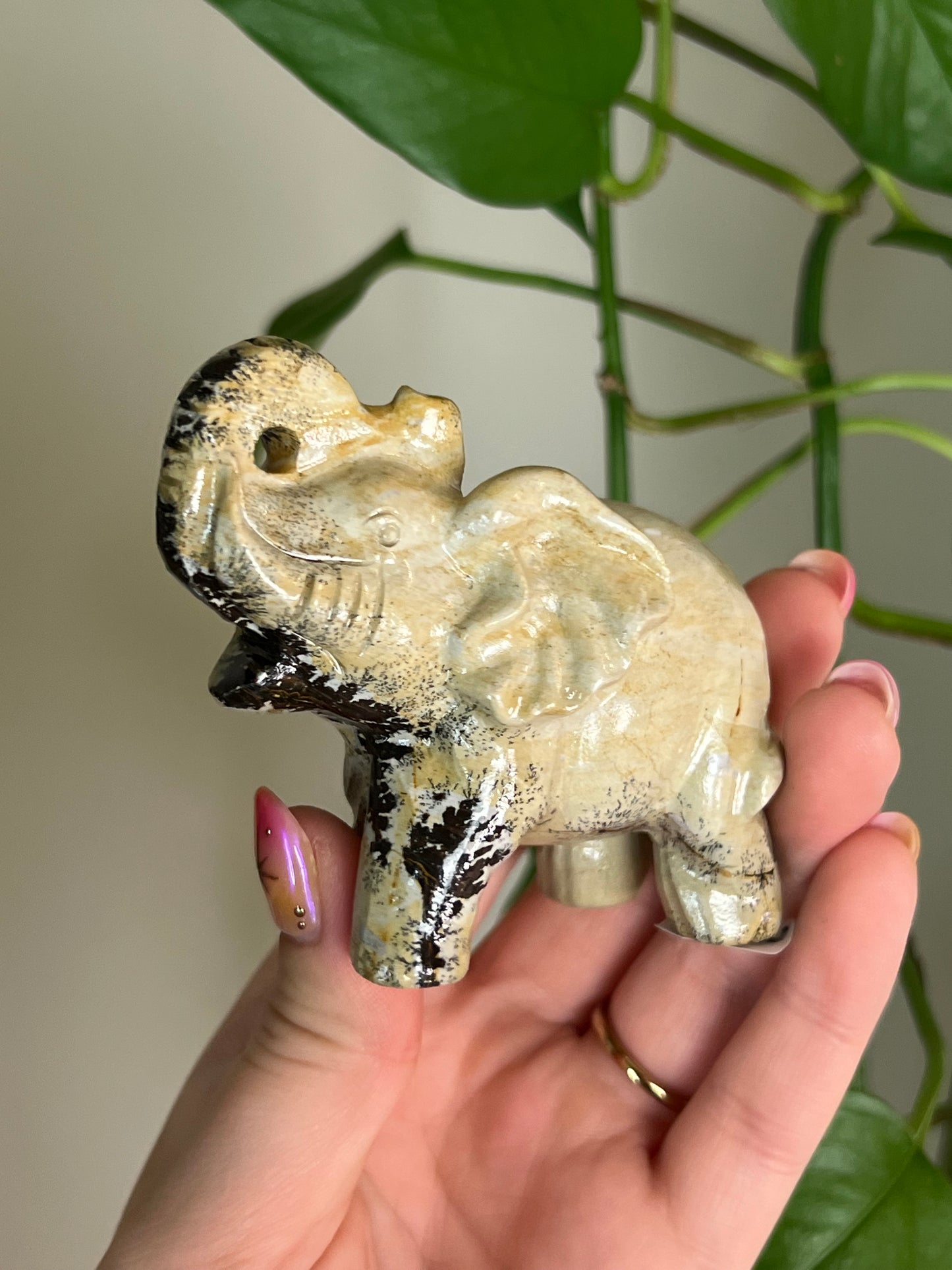 Picture Jasper Elephant - M