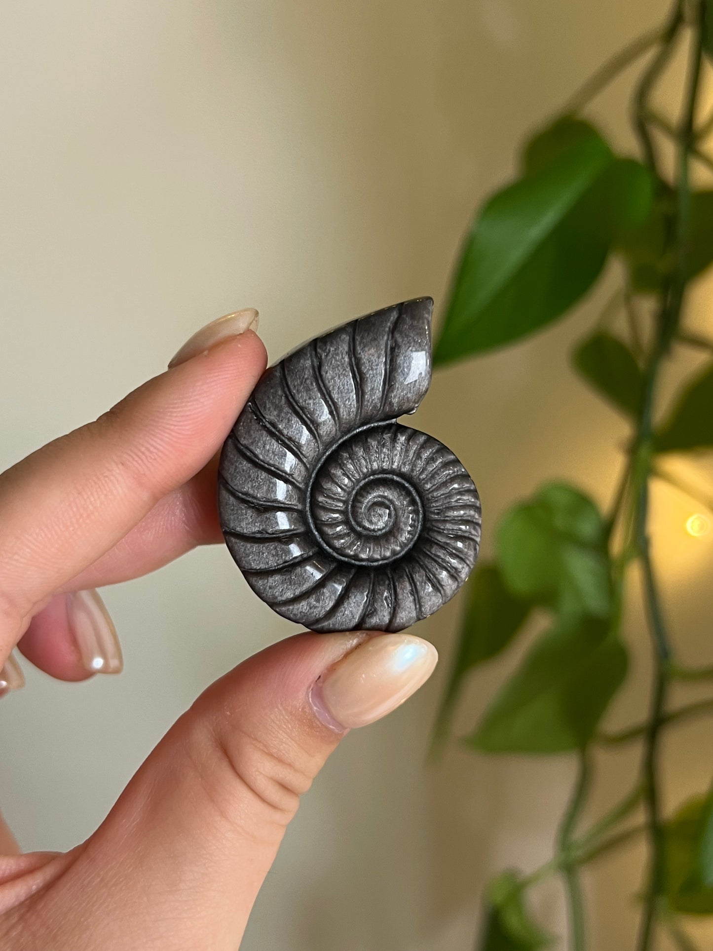 Silver Sheen Obsidian "Ammonite" Carving