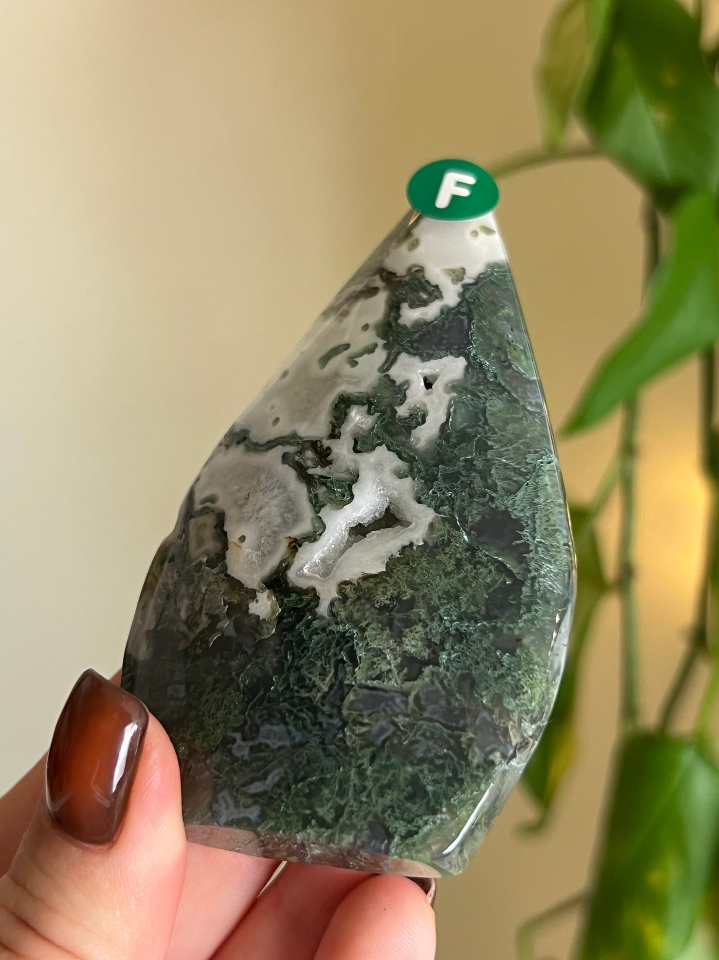 Moss Agate Freeform - F