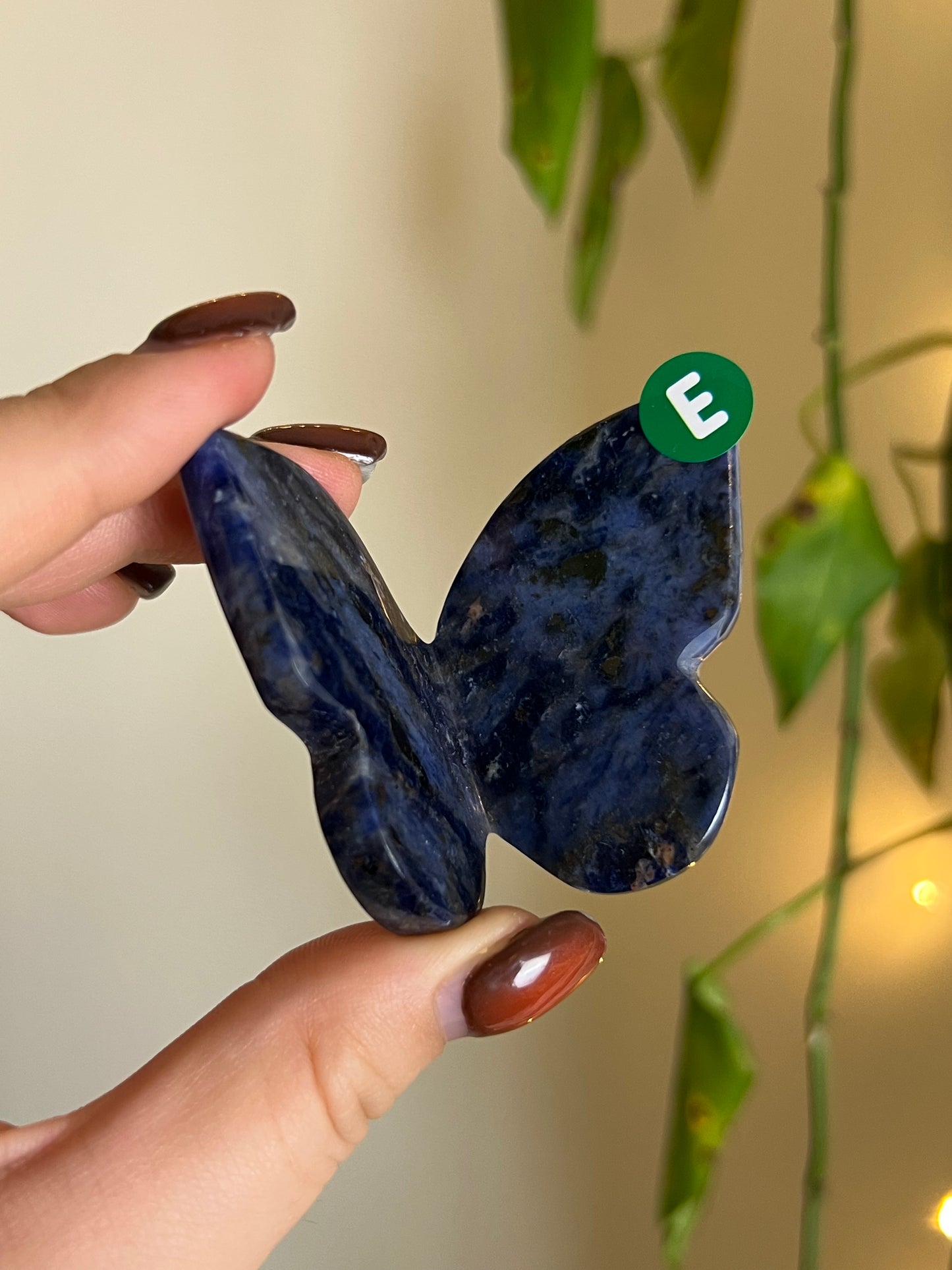 Sodalite 3D Butterfly - E