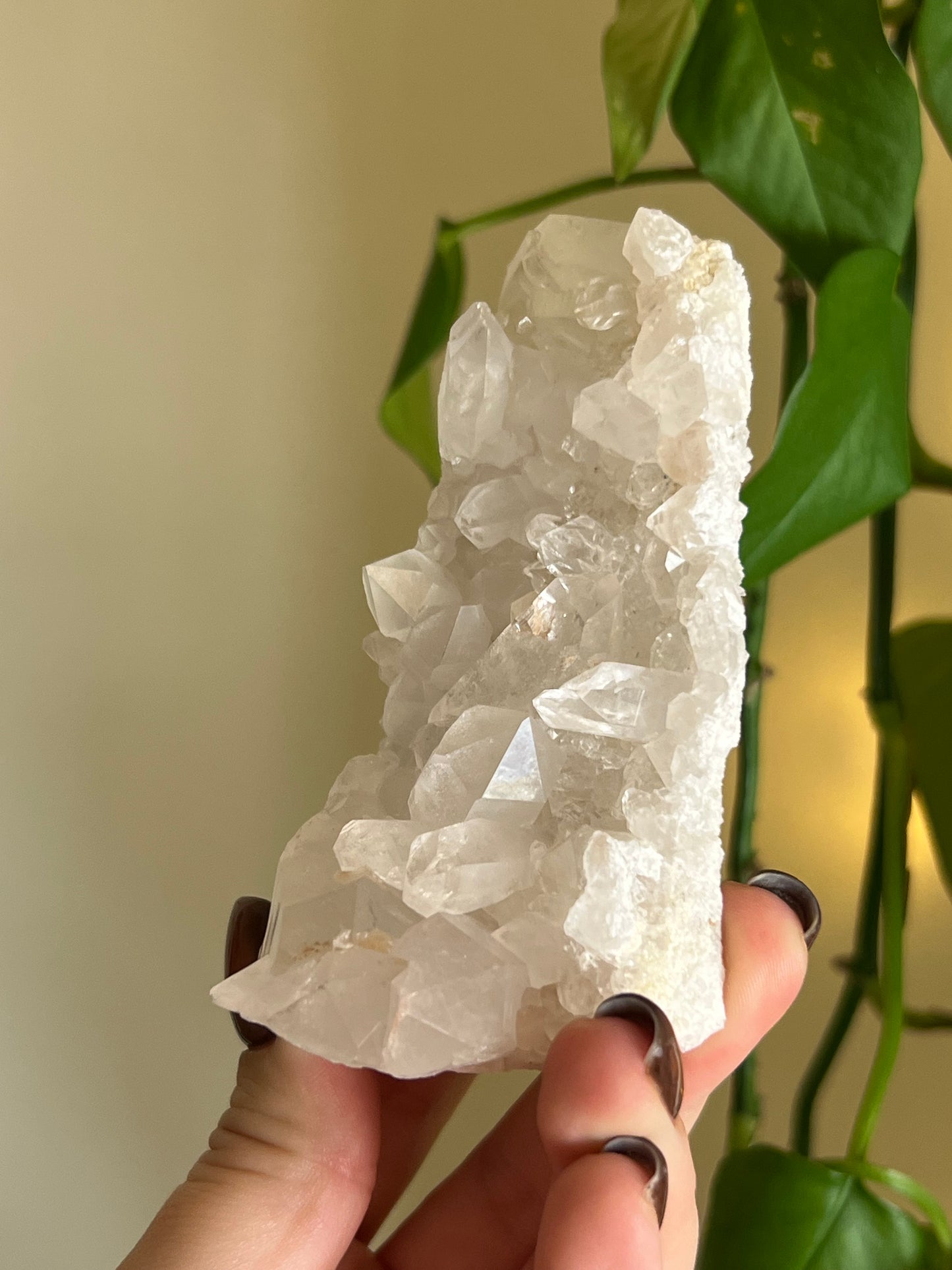 Clear Quartz Cluster - Self Standing