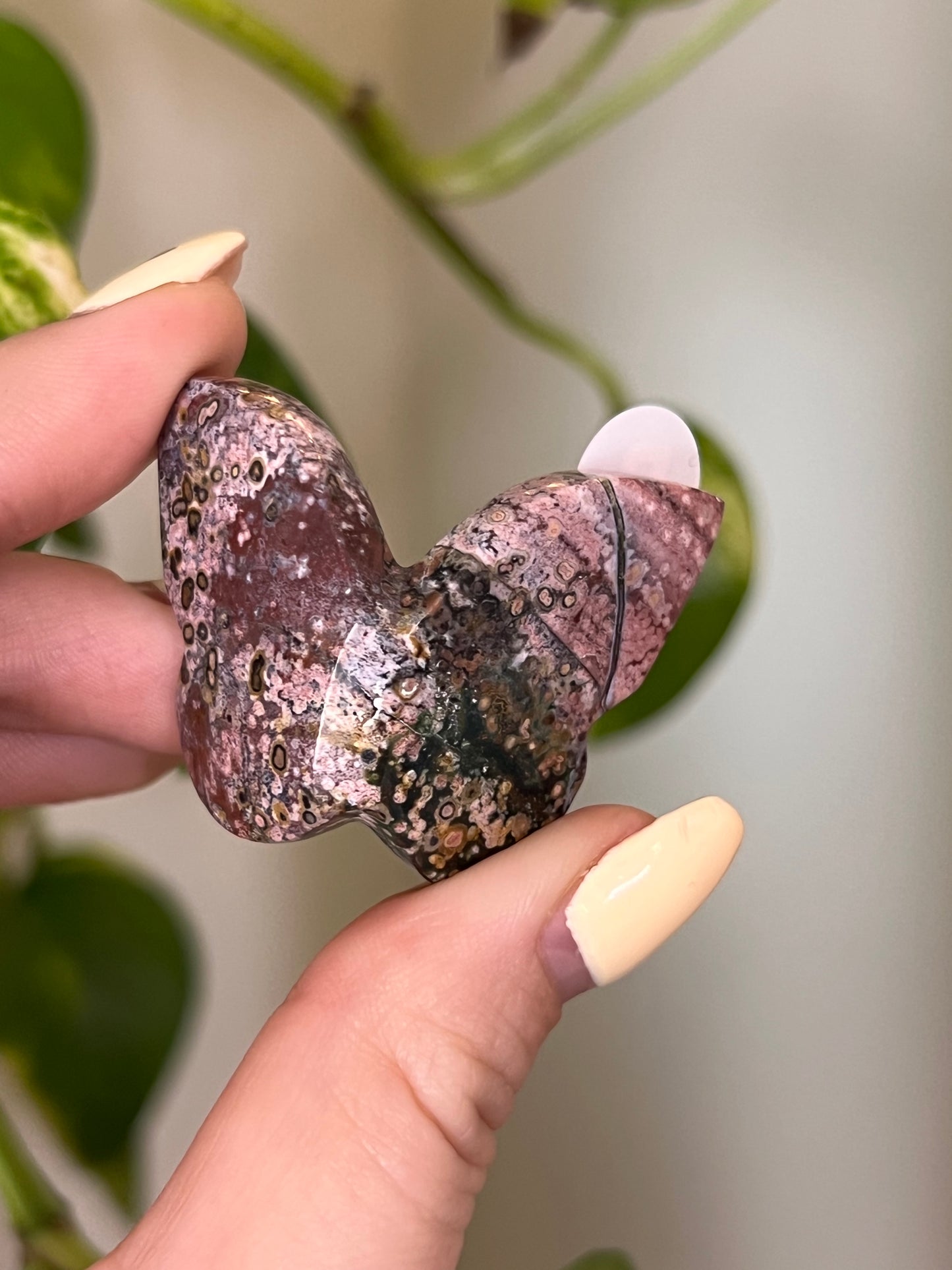 Colourful Unicorn Jasper Small 3D Butterfly - B