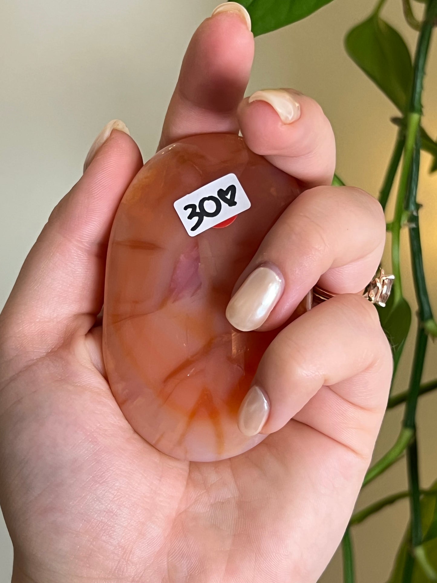 High Quality Carnelian Palm Stone C
