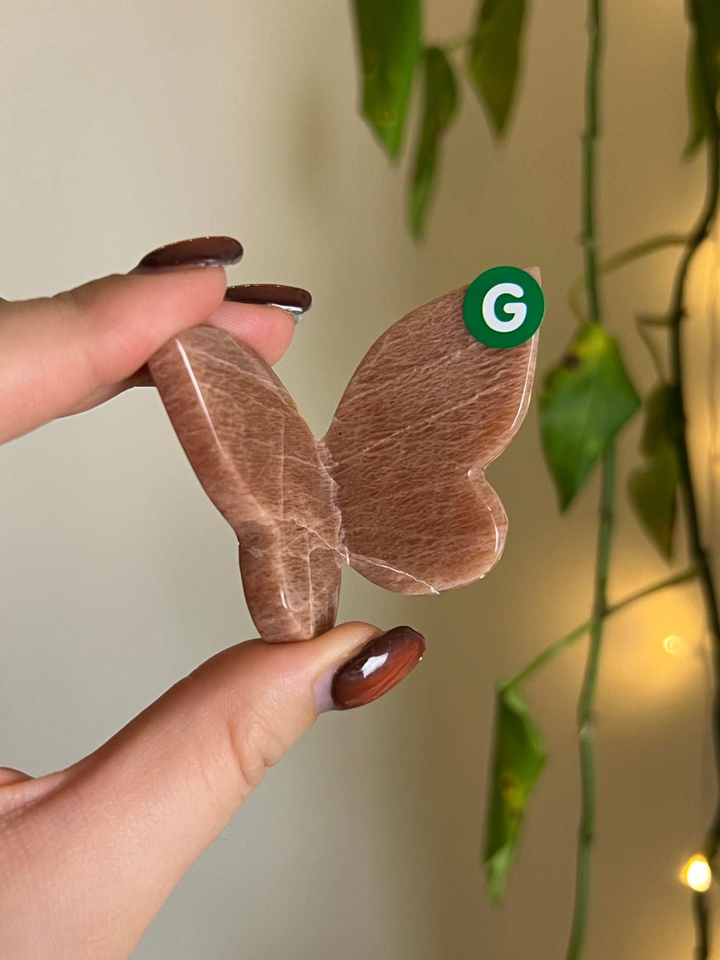 Peach Moonstone 3D Butterfly - G
