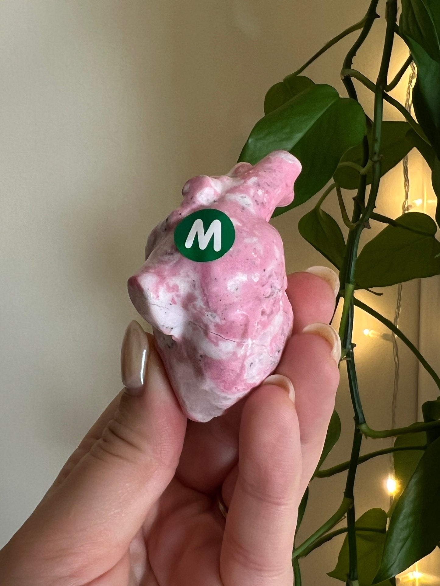 Peruvian Bubblegum Rhodonite Anatomical Heart - M