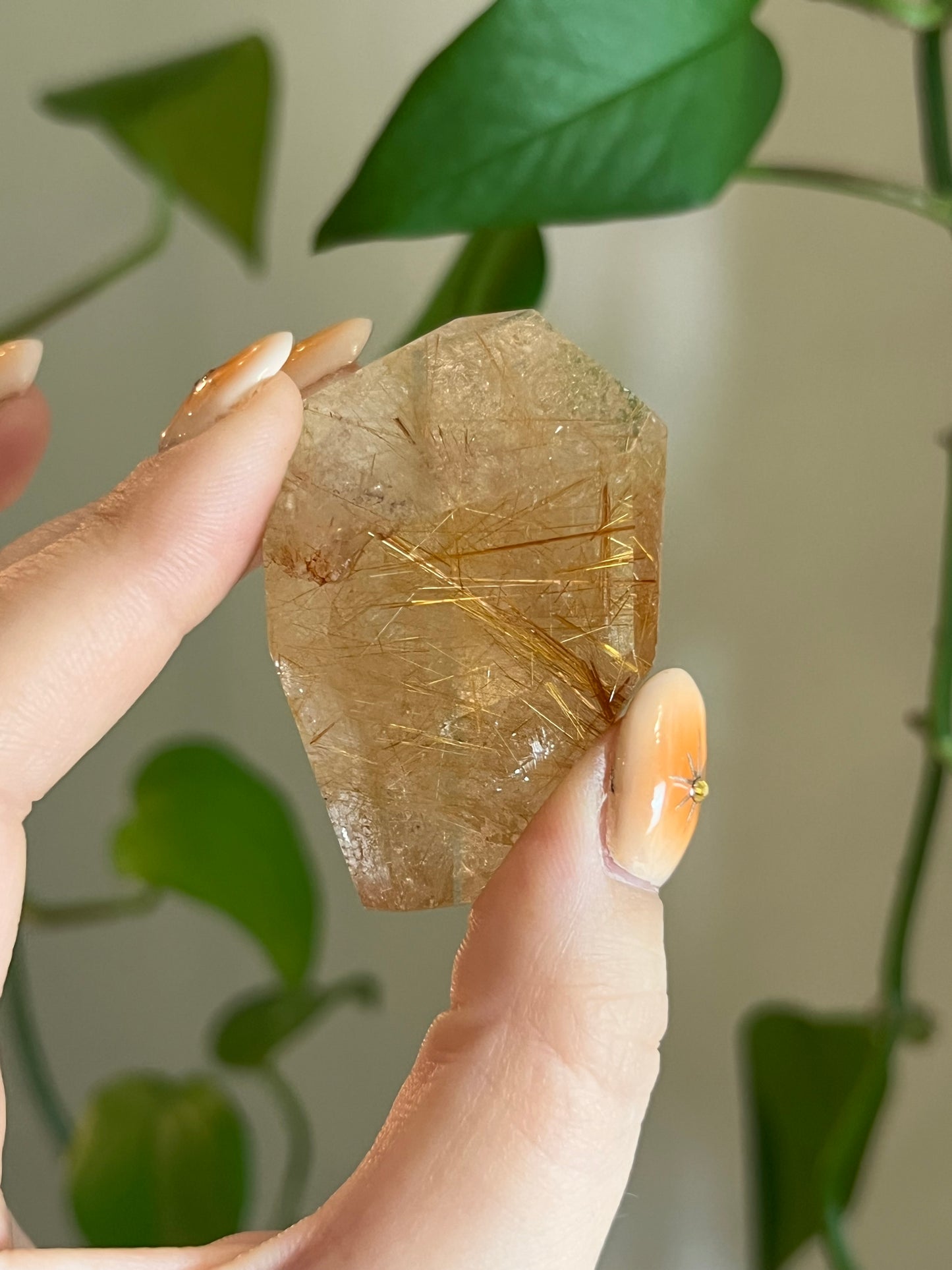 Golden Rutile Quartz Gusher - IQ