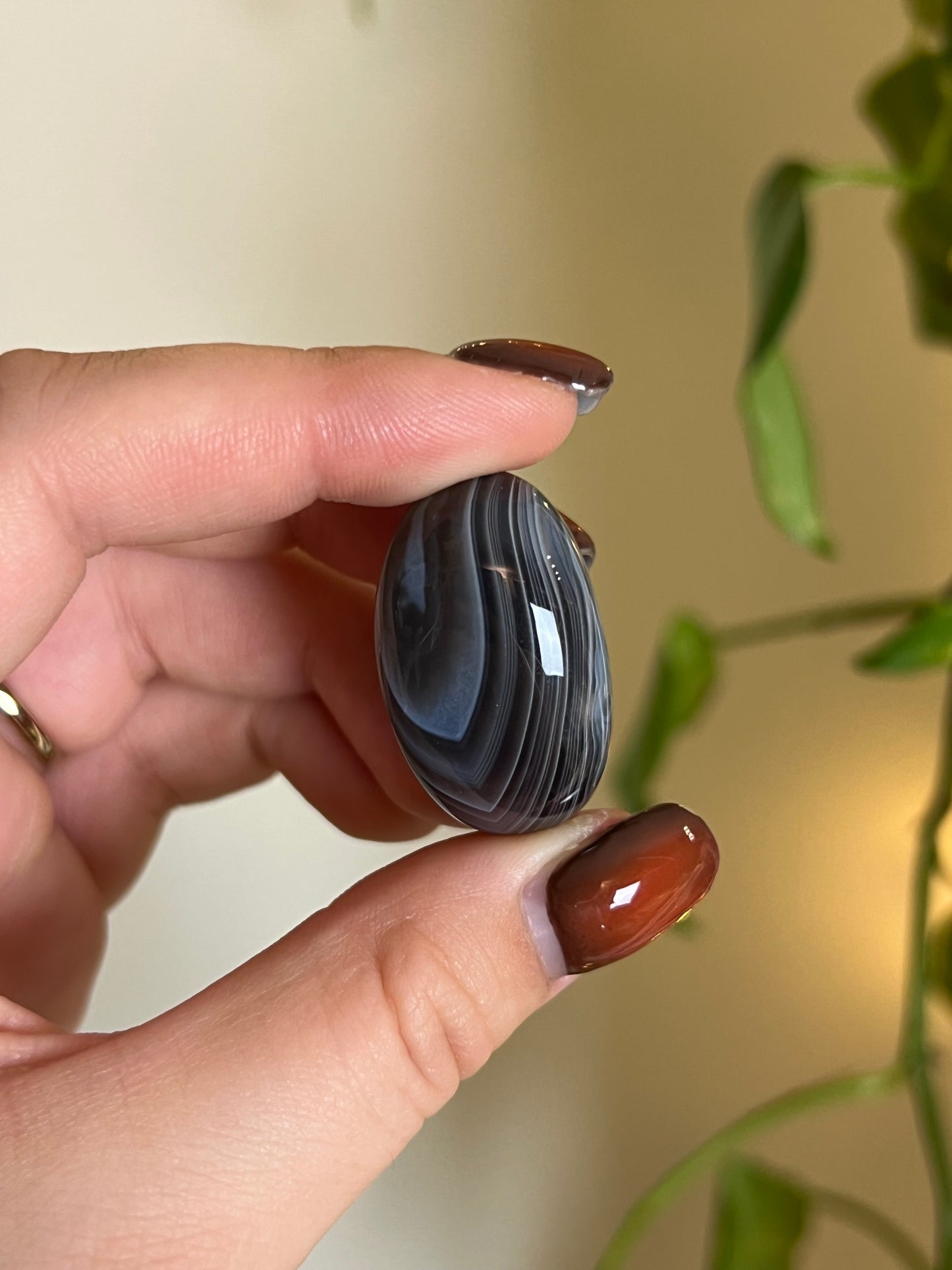 Botswana Agate Tumbled