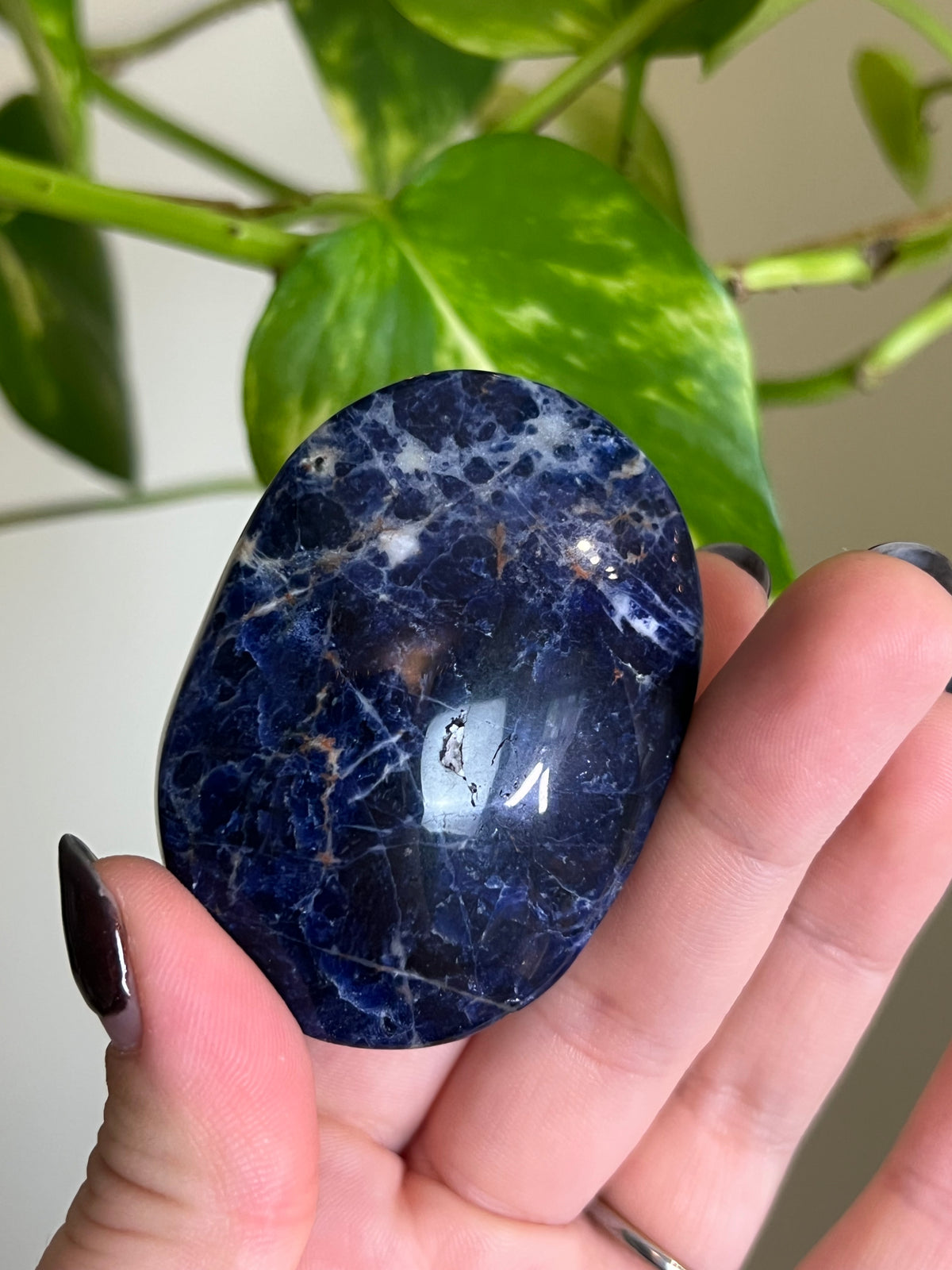 Sodalite Palm Stone - L